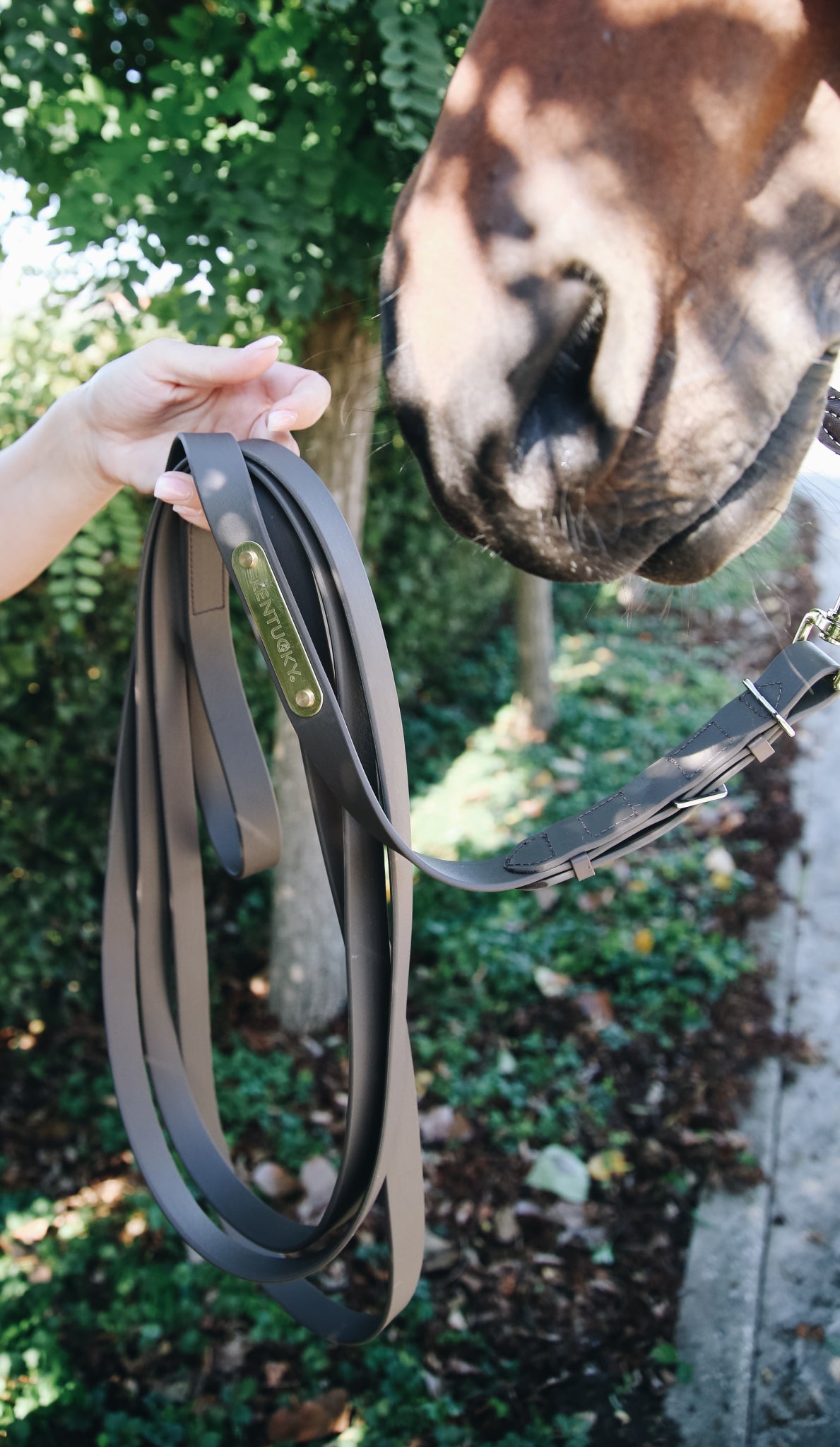 The Kentucky stallion lead is the perfect lead reign for any lively horse. With 4 metres in length it gives you plenty of control.