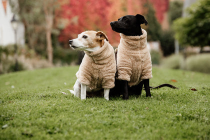 The Kentucky Dogwear Teddy Fleece is made from an extremely soft, comfortable fleeces that your dog will love! Your dog has fully freedom of movement and is ready to face the winter chill in this coat. Thanks to the warm comfortable fleece, this jumper is perfect dog jumper will protect your dog from the cold. The sweater has a very elegant cut which protects the forelegs, the chest as well as the front part of the body. Your dog will therefore be warm whilst still being able to run freely.
