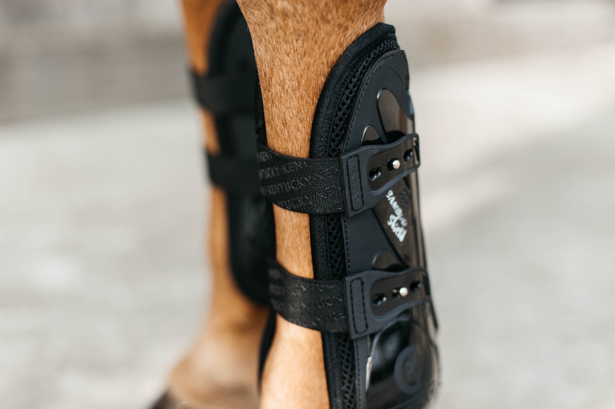 Kentucky Vegan Tendon Boots Bamboo Shield with Elastic fastenings are now available following years of research and development. The Kentucky Bamboo Sheild Supersedes the already very popular Kentucky Tendon Boot. Bamboo has the best tensile strength and also avoids penetration of sharp objects. Thanks to great results from testing, the bamboo shield is now used to protect the horse’s tendon area.