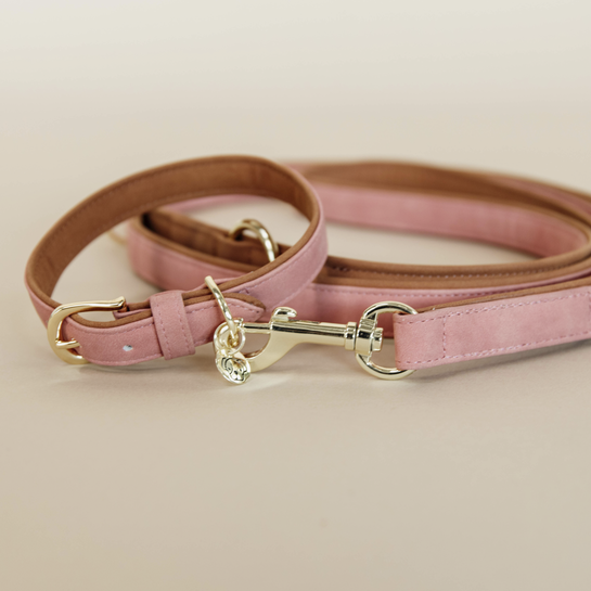 The Kentucky Dog Collar Velvet Leather has a very classy “velvet” look on the outside thanks to the microfiber material. On the inside we used artificial leather. The collar is extremely practical and easy to clean. The Dog Collar Velvet Leather features gold buckle , stay and a ring to attach the Kentucky matching Dog Lead
