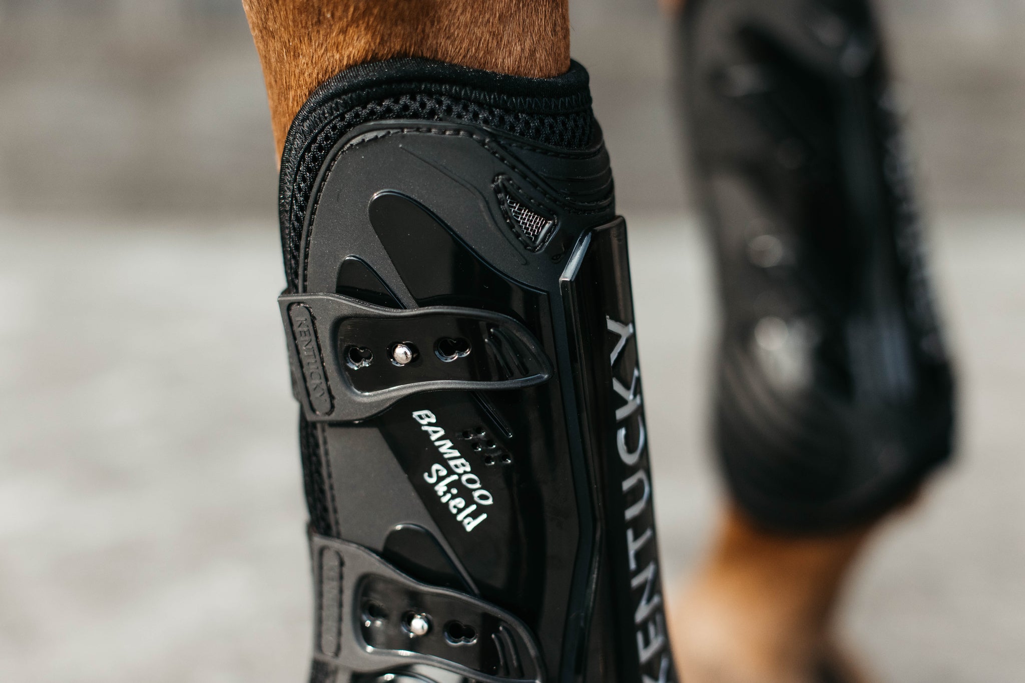Kentucky Vegan Tendon Boots Bamboo Shield with Elastic fastenings are now available following years of research and development. The Kentucky Bamboo Sheild Supersedes the already very popular Kentucky Tendon Boot. Bamboo has the best tensile strength and also avoids penetration of sharp objects. Thanks to great results from testing, the bamboo shield is now used to protect the horse’s tendon area.