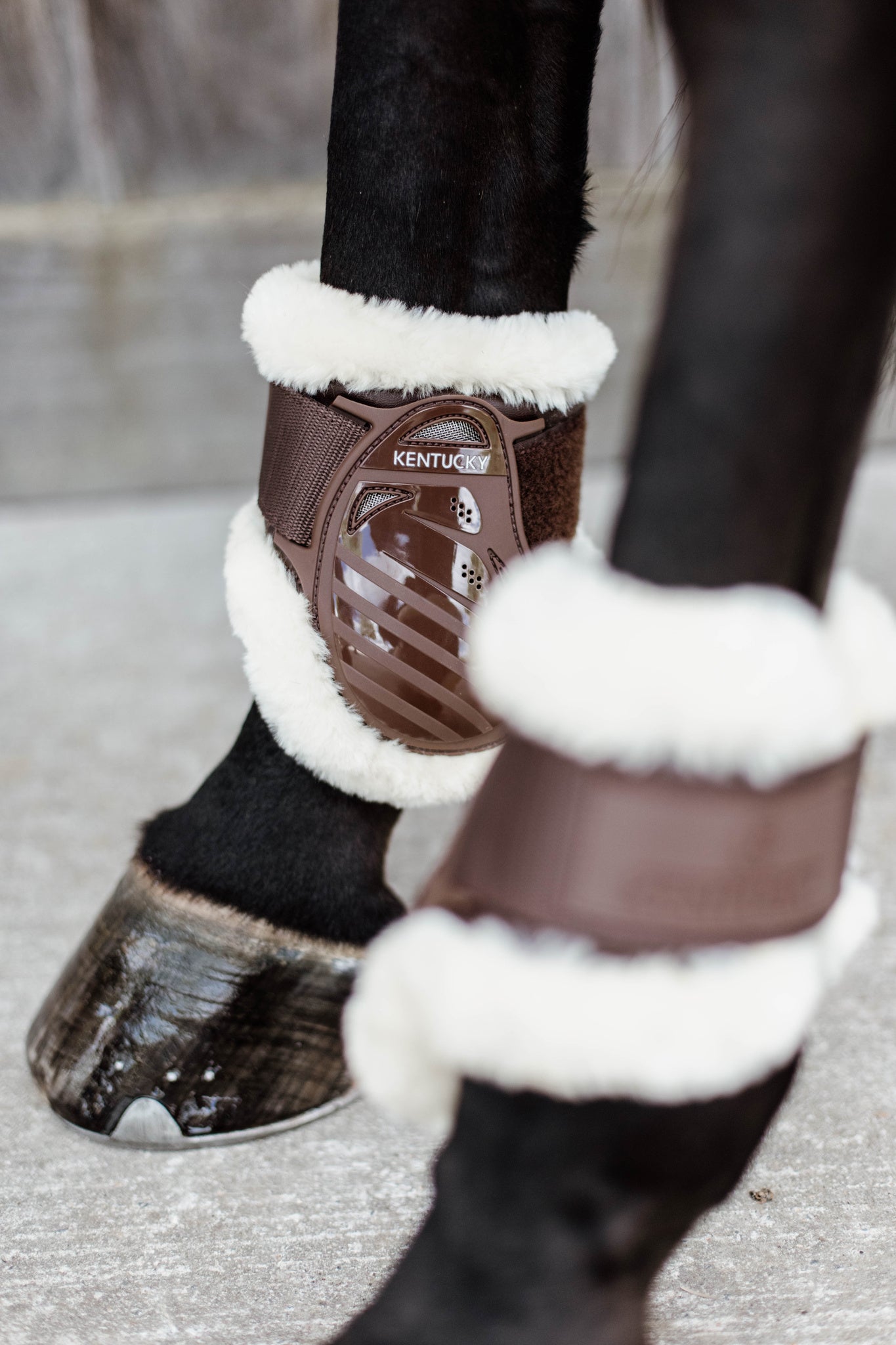 Kentucky Young Horse Fetlock Boots Air are the perfect match for the New Kentucky Tendon Boots Bamboo Shield. Approved for jumping rounds in both FEI and BS the New Kentucky Young Horse Fetlock Boots Air have a double Velcro fastening helping to keep your boot securely fastened. The secure fastening prevents the boot turning when jumping or exercising and therefore keeps the horses hind legs consistently protected.