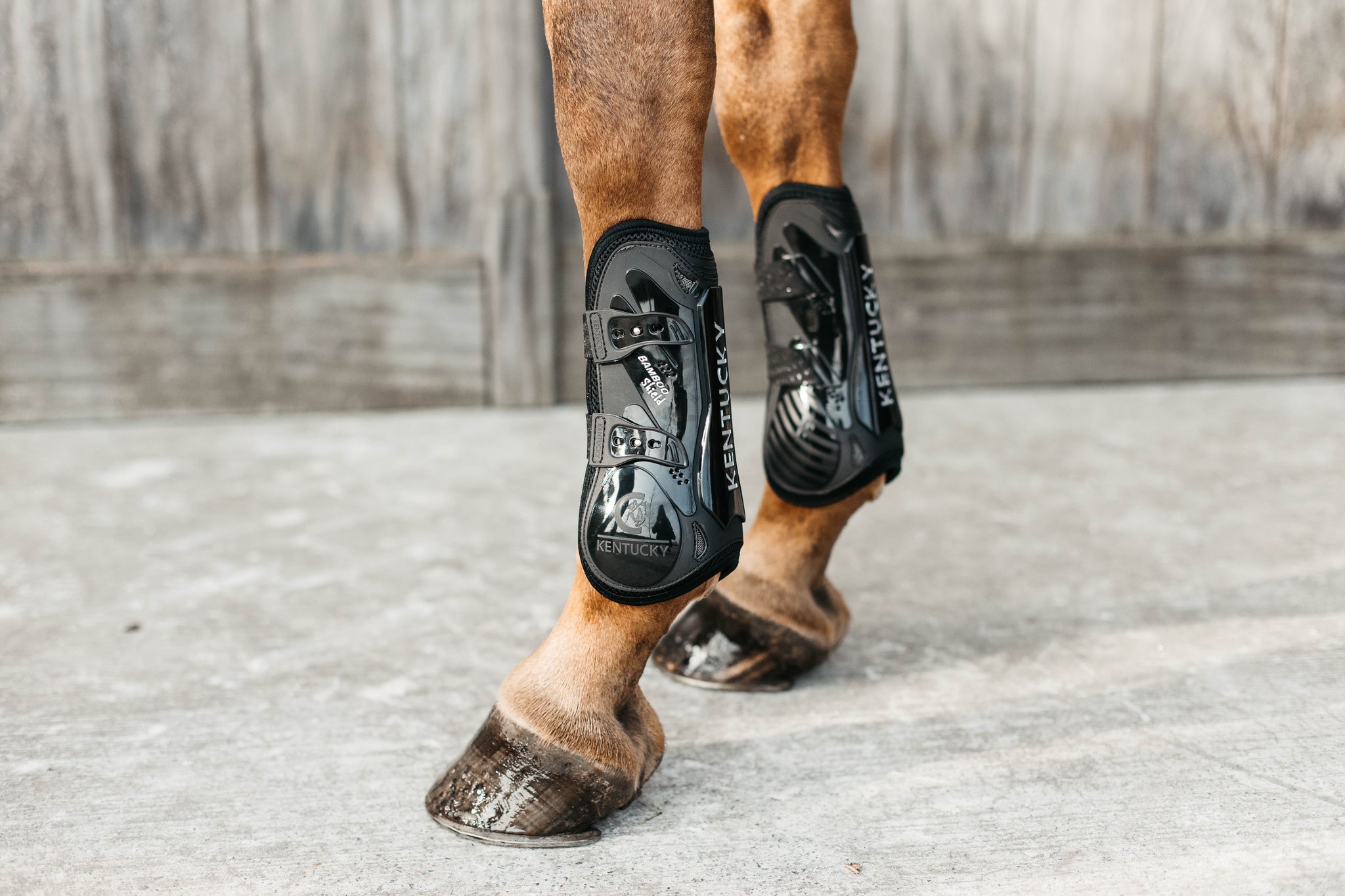 Kentucky Vegan Tendon Boots Bamboo Shield with Elastic fastenings are now available following years of research and development. The Kentucky Bamboo Sheild Supersedes the already very popular Kentucky Tendon Boot. Bamboo has the best tensile strength and also avoids penetration of sharp objects. Thanks to great results from testing, the bamboo shield is now used to protect the horse’s tendon area.