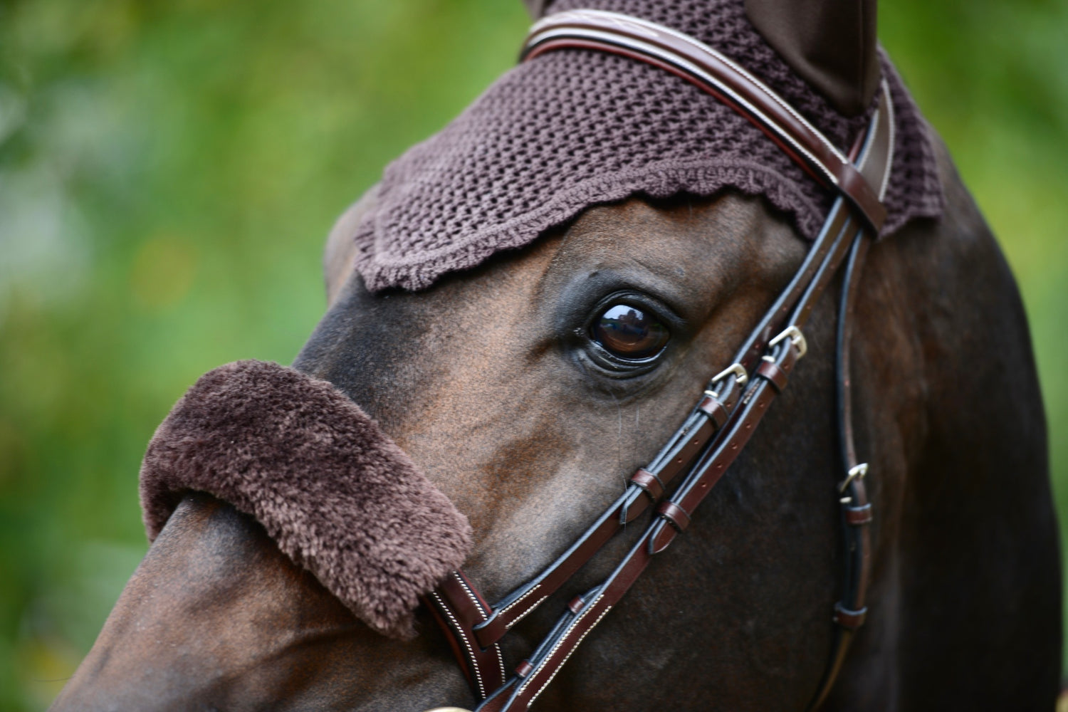 Kentucky Sheepskin Nose Band Cover