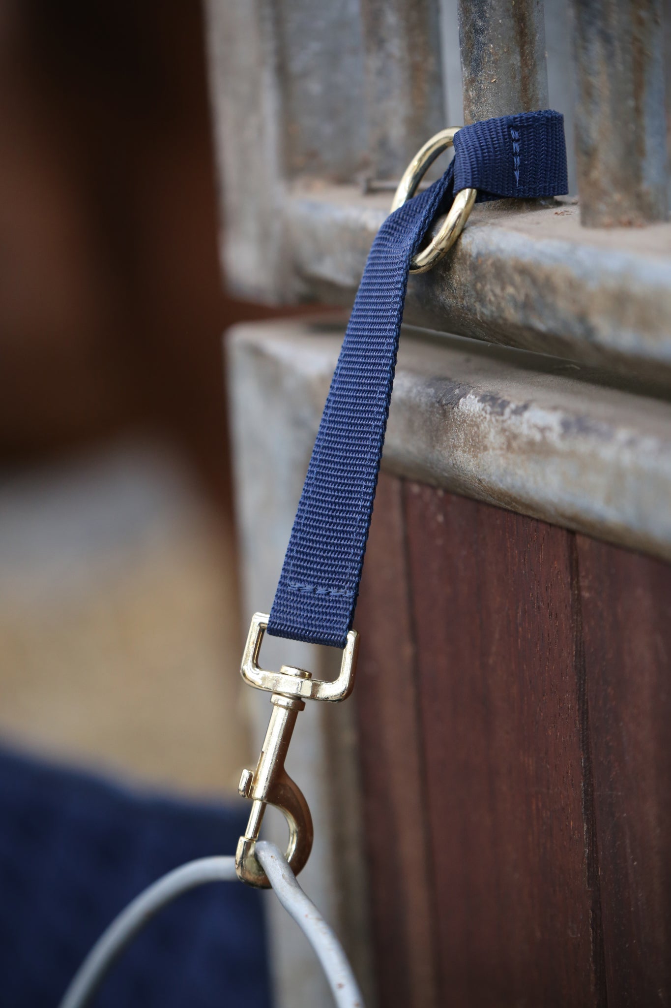 Kentucky’s Strong and durable nylon bucket hook with gold hoop and clip for fastening.