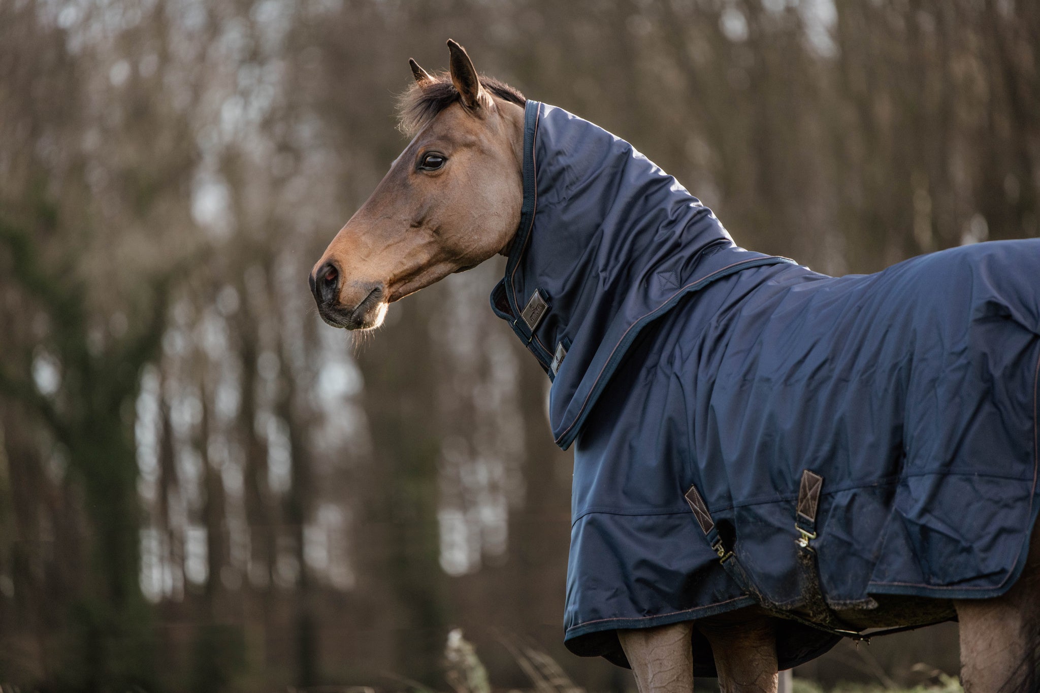 This Turnout Rug All Weather has a 0g filling and is very strong. The outside fabric is made of 1680D high tenacity polyester which makes the rug extremely strong, durable and dirt-repellent.