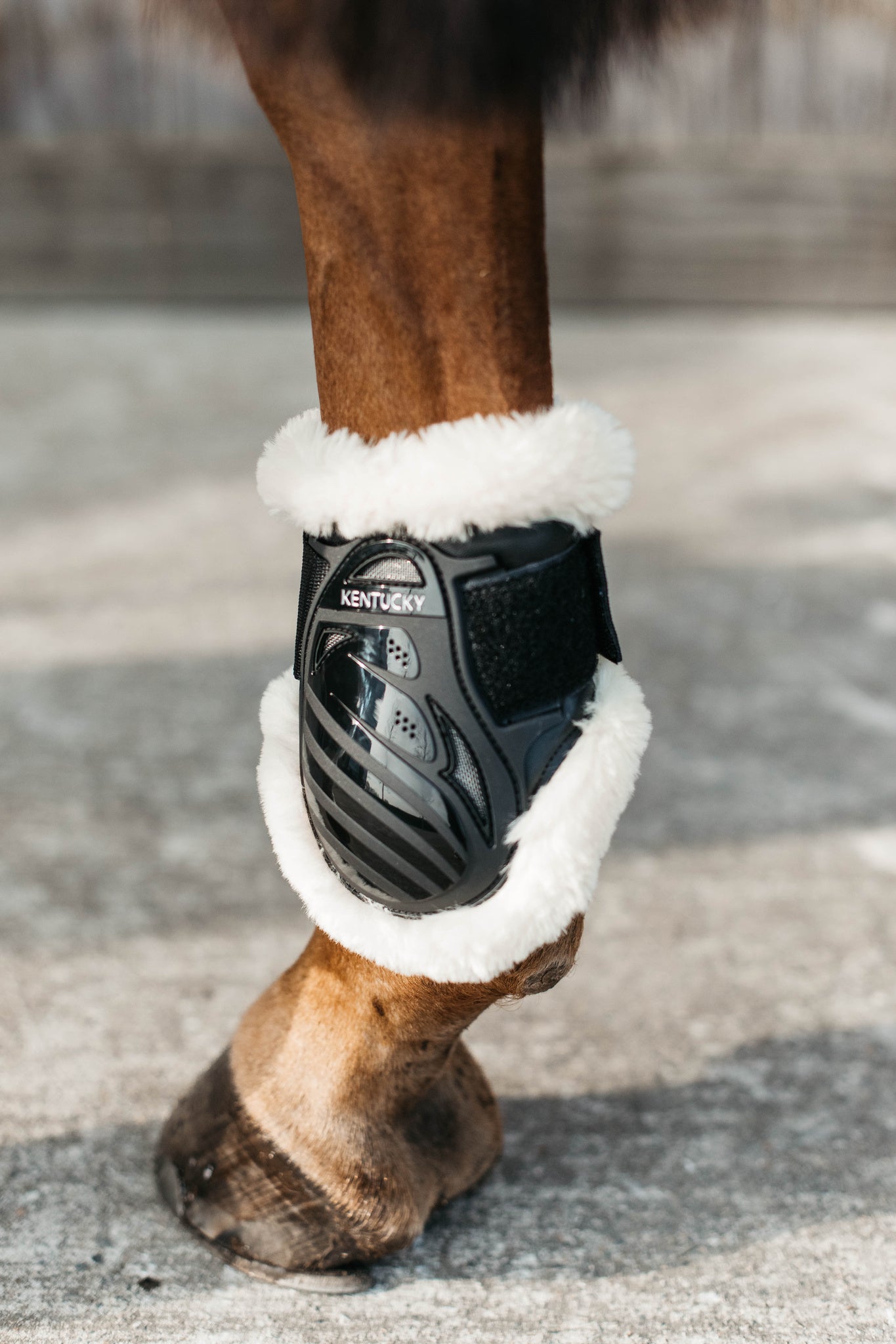 Kentucky Sheepskin Young Horse Fetlock Boots Air are the perfect match for the New Kentucky Tendon Boots Bamboo Shield.