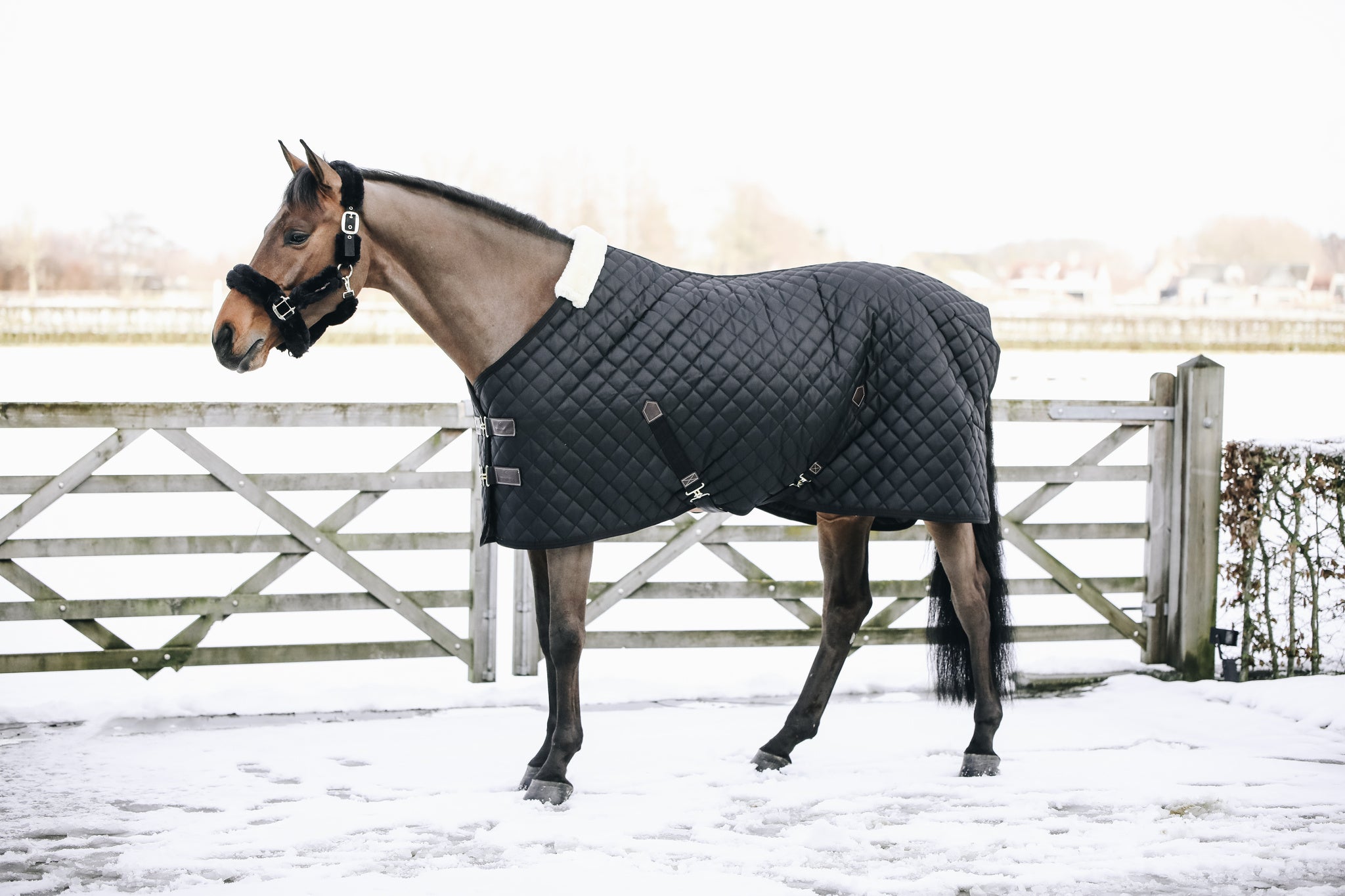 Kentucky Horsewear Stable Rug 400g The Kentucky Stable Rug 400g is a stand out product from Kentucky Horsewear from their latest range. For any horse this is a very comfortable rug, a must-have for clipped horses or horses with sensitive skin. A lovely product, it is able to offer great warmth and comfort and it’s also a very easy to use rug for any rider. As well as being able to offer warmth, it is also highly breathable thanks to the combination of the materials.
