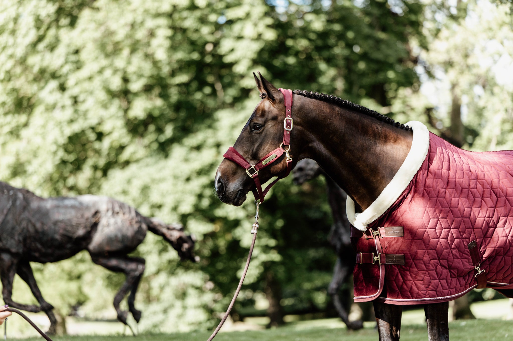 The Kentucky Velvet show rug in the shade Bordeaux. This rug is made with 160g filling, and lined with faux rabbit fur lining to give your horse the perfect shiny coat. Finished with a cream sheepskin binding round the front of the rug, to help prevent rubbing on the chest, neck and mane.