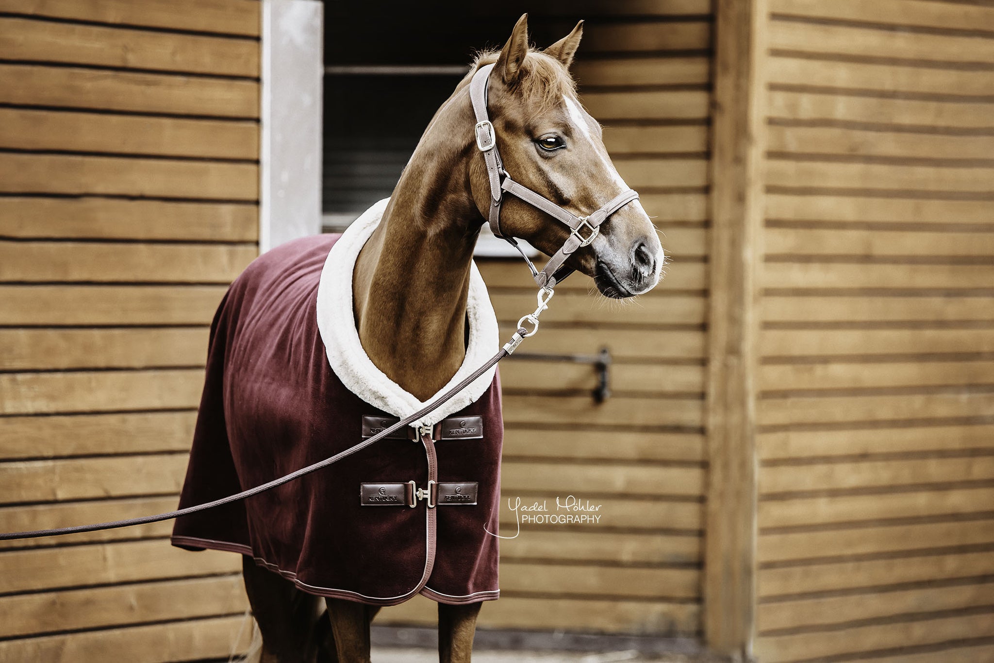 Kentucky Fleece Show Rug Heavy – Bordeaux The Heavyweight Fleece Show Rug in Bordeaux is NEW for 2020. With all the same characteristics of the original Heavyweight Fleece Show Rug, the Bordeaux will be sort after this year. With the look and hand feel of the authentic wool rug, without all the inconveniences that a wool rug can have.