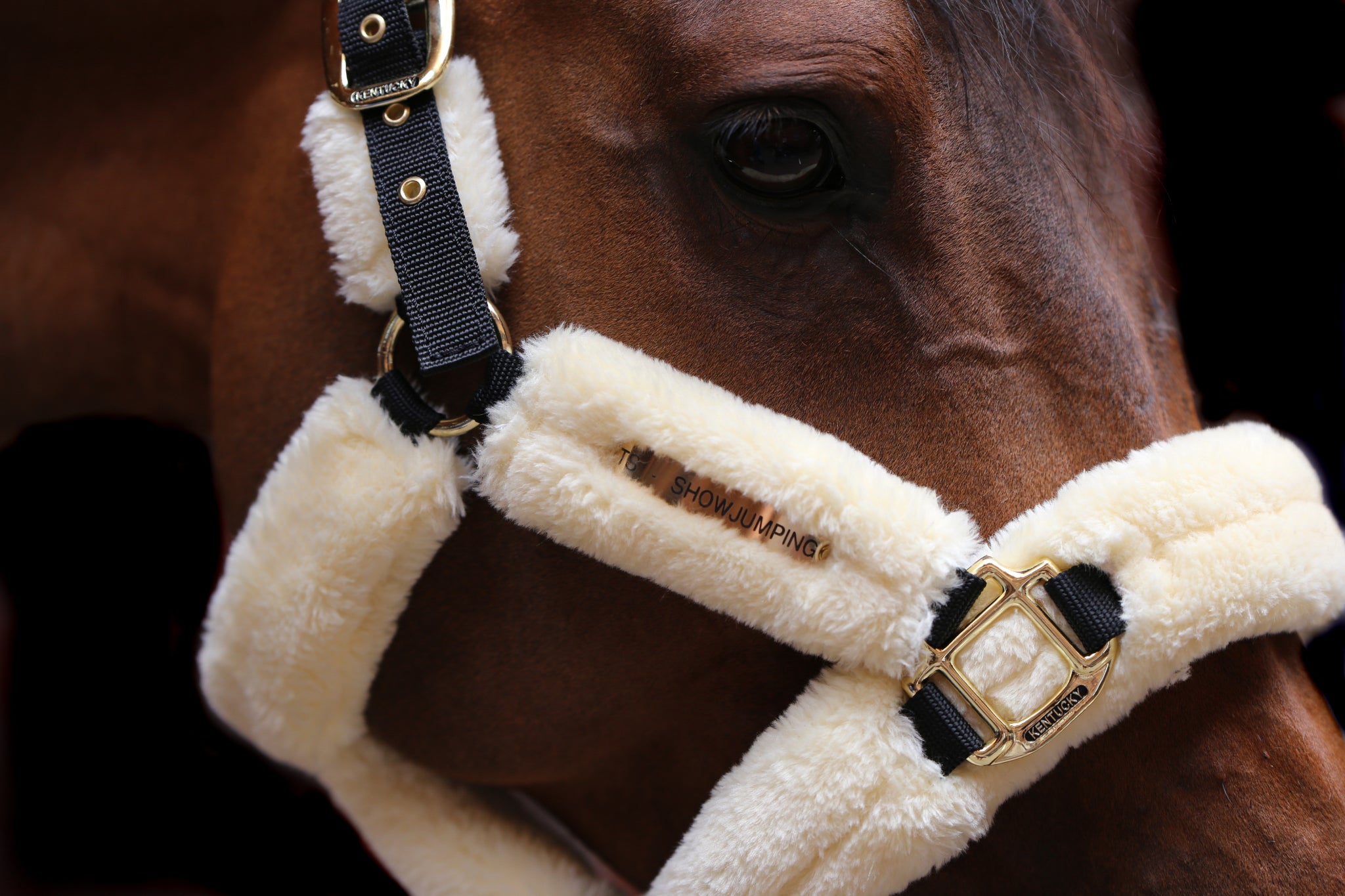 The Kentucky Horsewear Sheepskin Shipping Halter is an extremely soft and comfortable halter mainly used during transportation.
