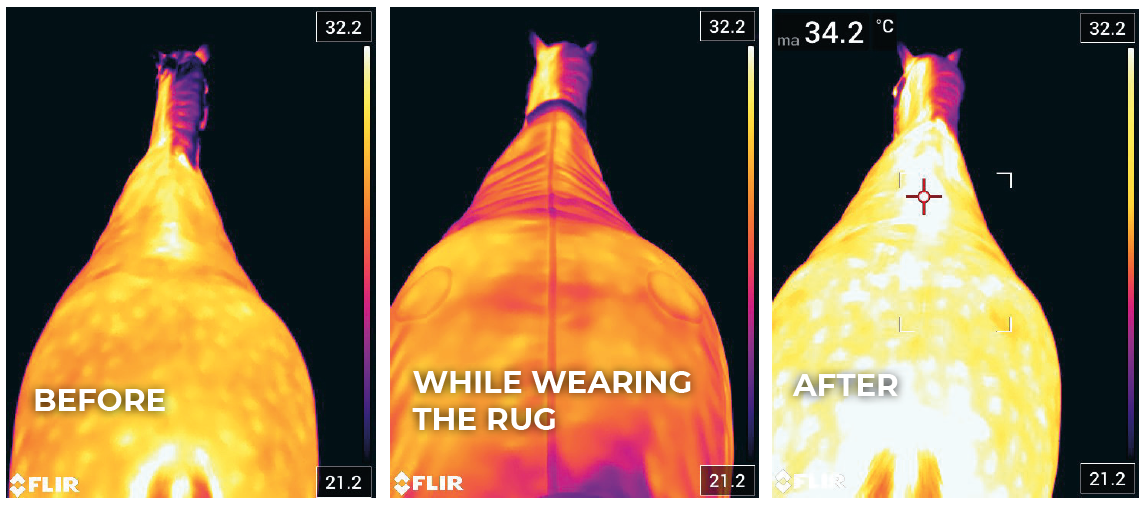 This Magnetic Neck Recuptex uses the same Recuptex fabric technology that has proven to be state of the art. Based on the Bekaert BEKINOX® technology, they contain the finest inox yarn (a stainless-steel fiber) that is woven into the fabric. It creates a Faraday cage which reflects the magnetic fields created in the horse&