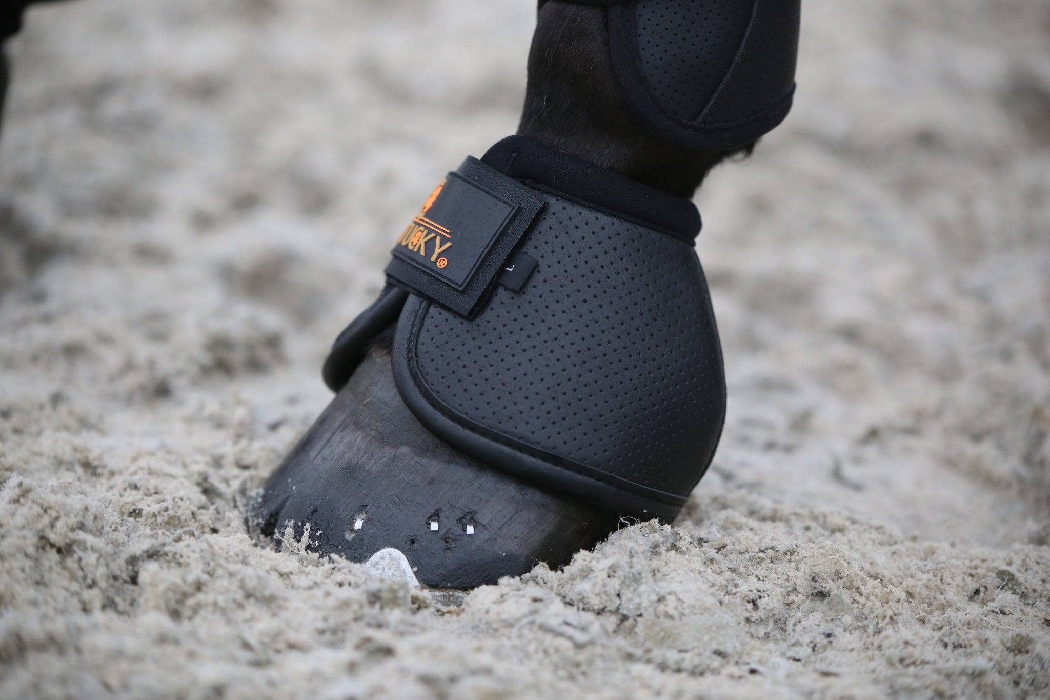 The Kentucky Horsewear Air Tech Over Reach Boots offer vital protection for your horse. Made with shock absorbing gel these are perfect procreation for your horse. The Air Tech Over Reach Boots provide excellent shock absorption and protection against over reaches.