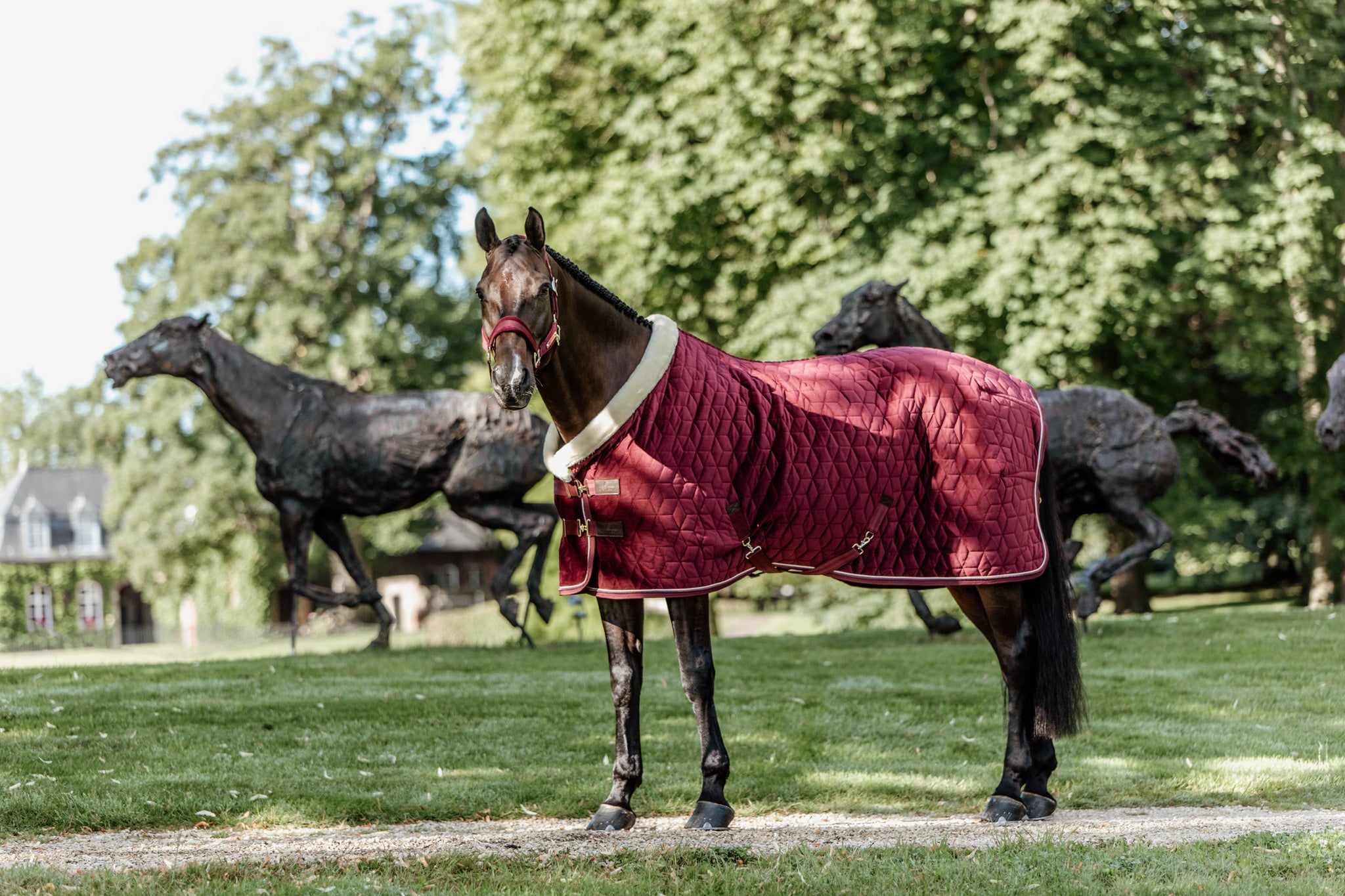 The Kentucky Velvet show rug in the shade Bordeaux. This rug is made with 160g filling, and lined with faux rabbit fur lining to give your horse the perfect shiny coat. Finished with a cream sheepskin binding round the front of the rug, to help prevent rubbing on the chest, neck and mane.