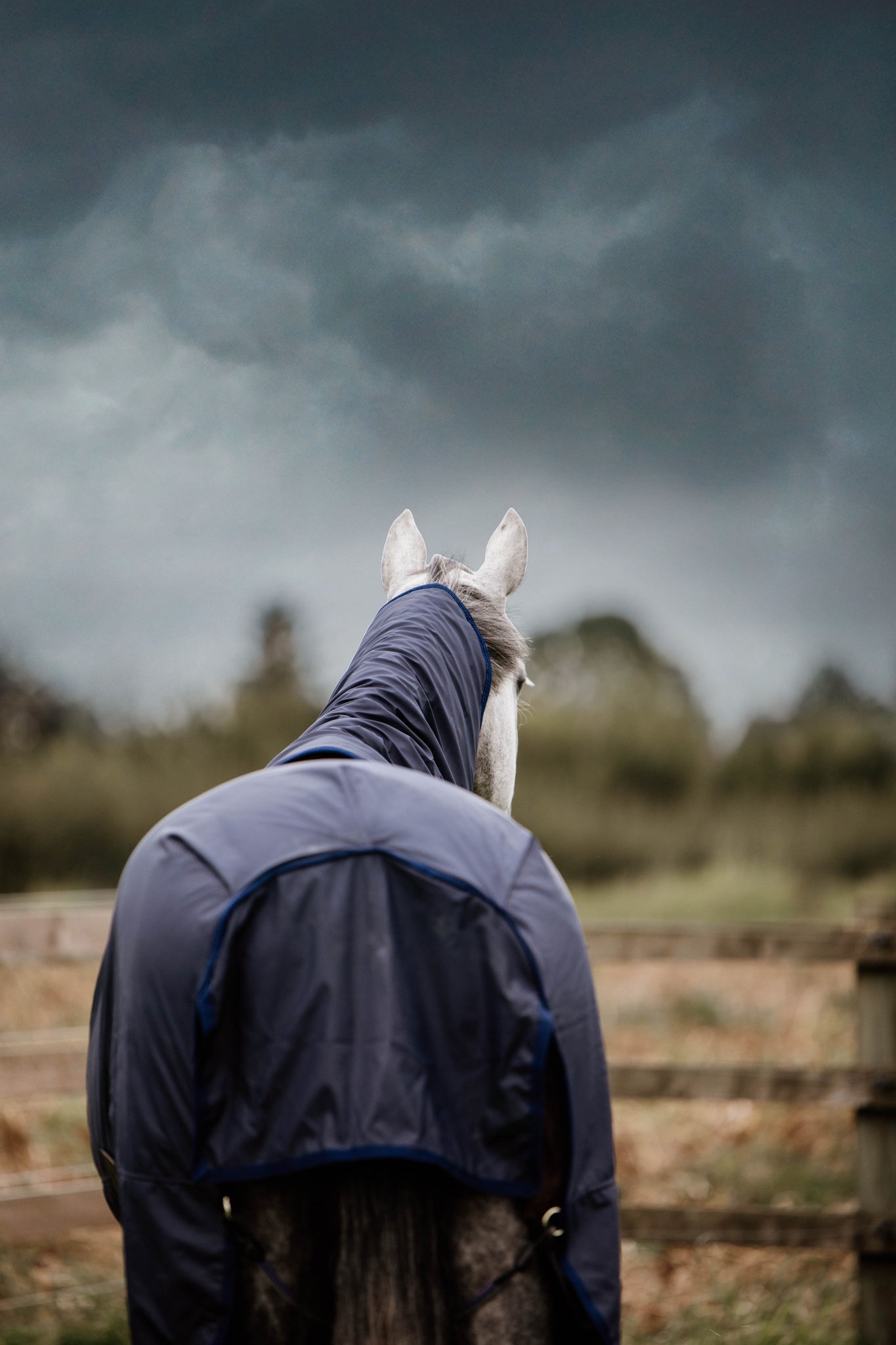 Kentucky Hurricane Turnout Rug All Weather The Kentucky Horsewear, the Turnout Rug Hurricane is a unique new product which features a unique water blocking outer layer for in the field or paddock. Super versatile and hard wearing, the rug will be a reliable product able to guarantee to keep you horse dry in wet weather, even in the heaviest of rain fall. For extreme use in colder climates, we would not advise this turnout rub to be used over a temperature of 10 degrees Celsius.