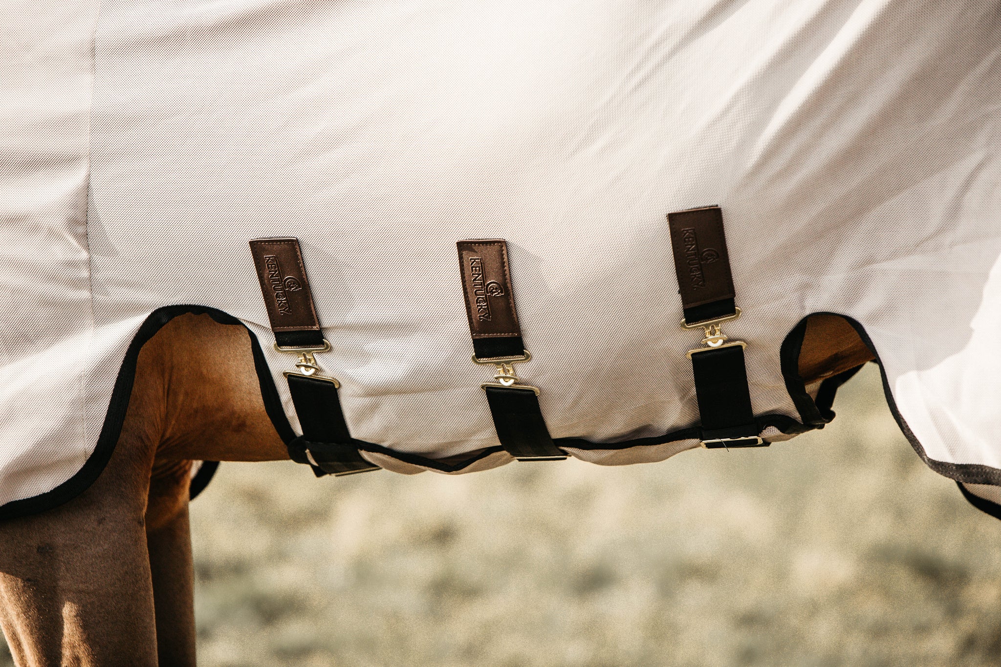 Get rid of any irritations caused by insects with the Kentucky Mesh Fly Rug.