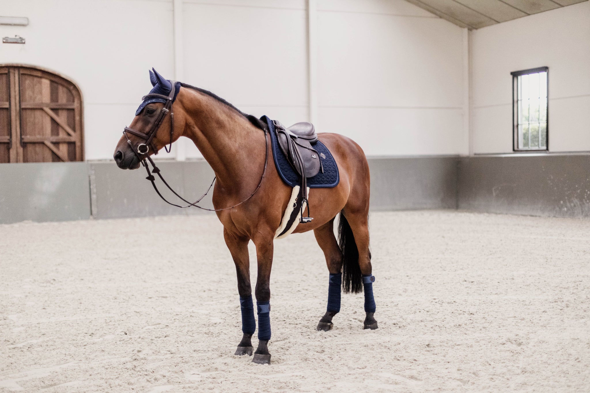 The Kentucky rope and Glitter saddle pad is a classic elegant pad with a sophisticated shimmer. The pad has a clutter strip and a plain self coloured braid. Matching Fly Vale Available