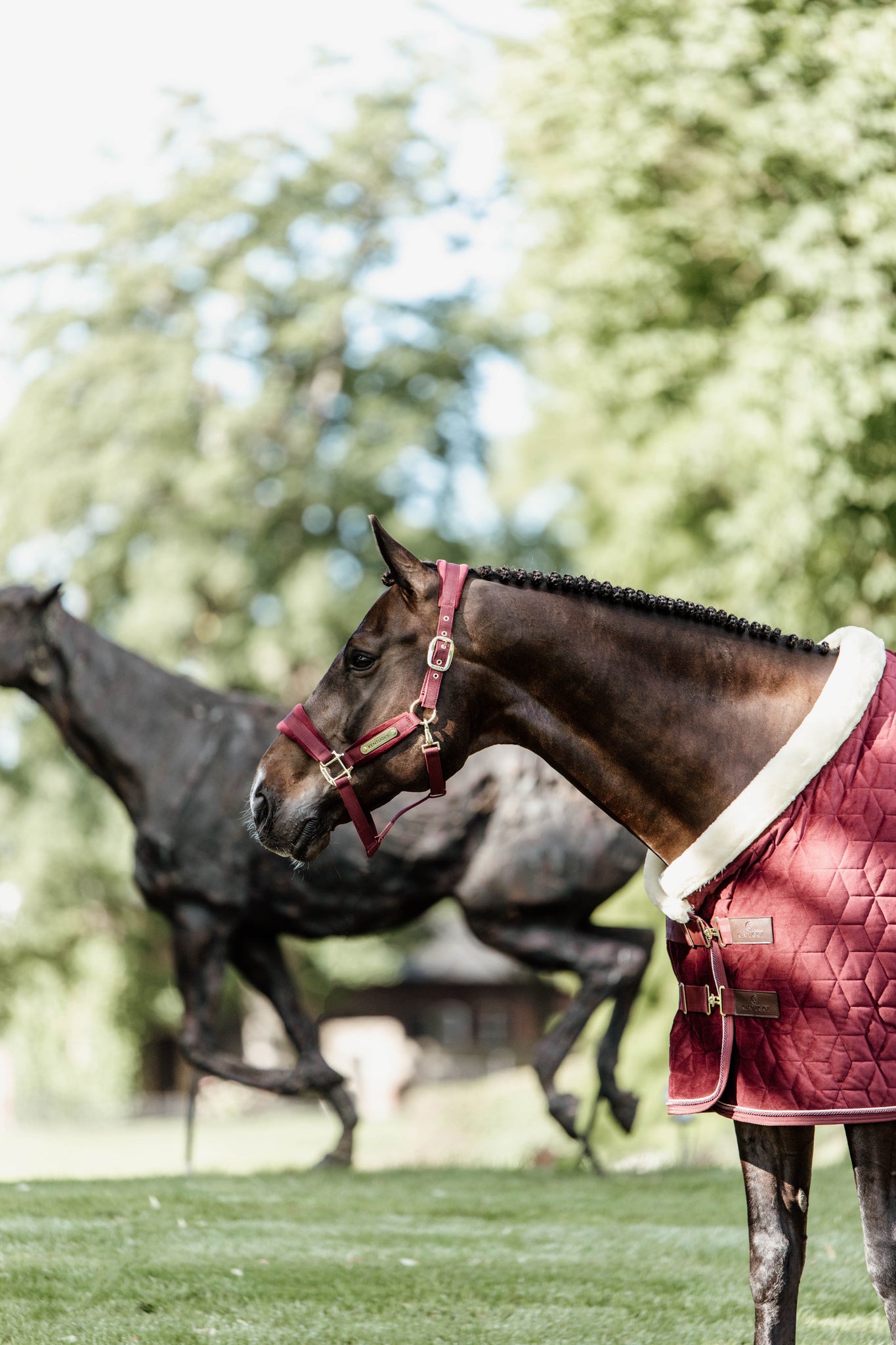 The Kentucky Velvet show rug in the shade Bordeaux. This rug is made with 160g filling, and lined with faux rabbit fur lining to give your horse the perfect shiny coat. Finished with a cream sheepskin binding round the front of the rug, to help prevent rubbing on the chest, neck and mane.