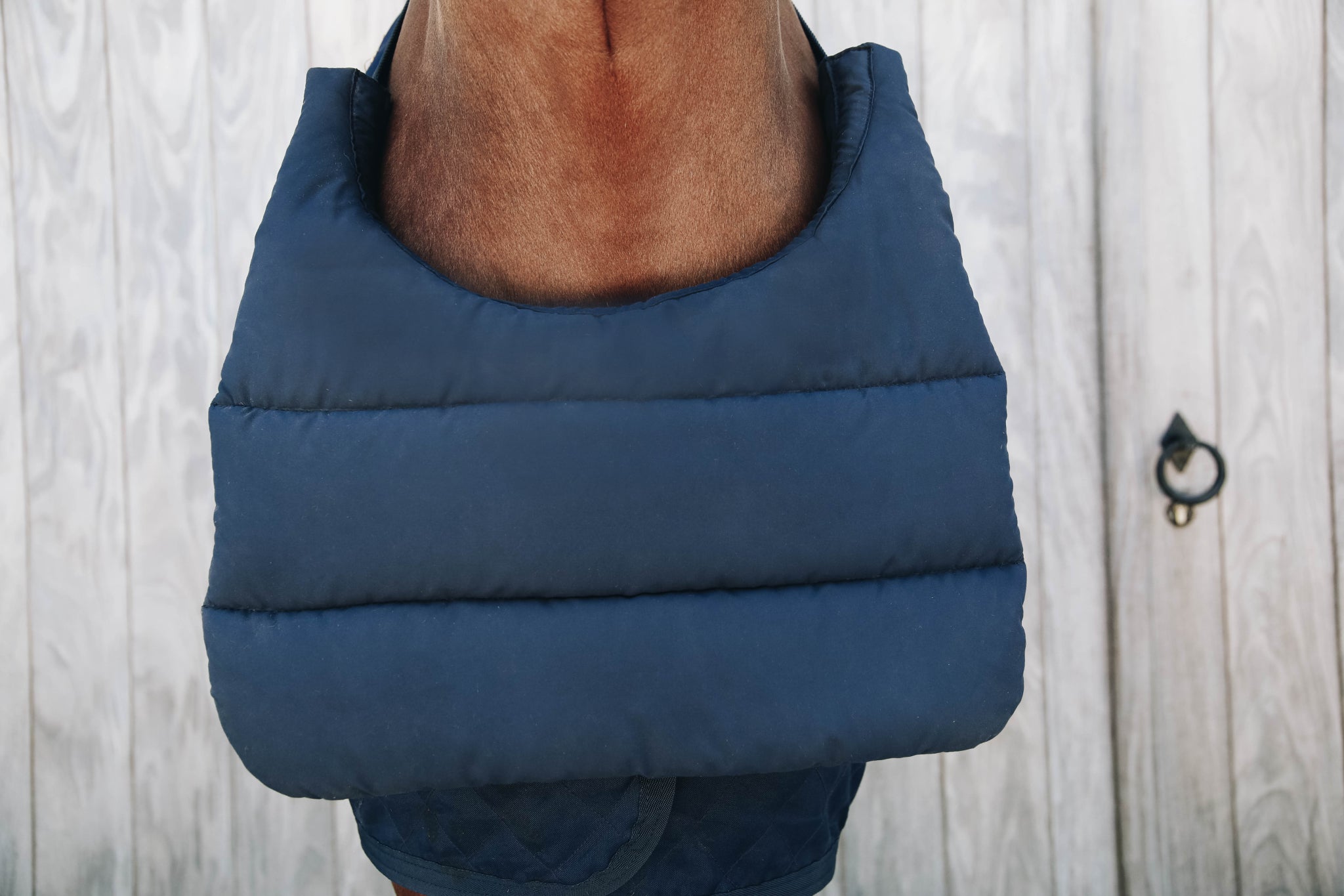 The Kentucky bib has been designed to protect your your horse from those annoying rubs caused by rugs. The Kentucky summer bib is the ideal pad to protect your horse’s chest.