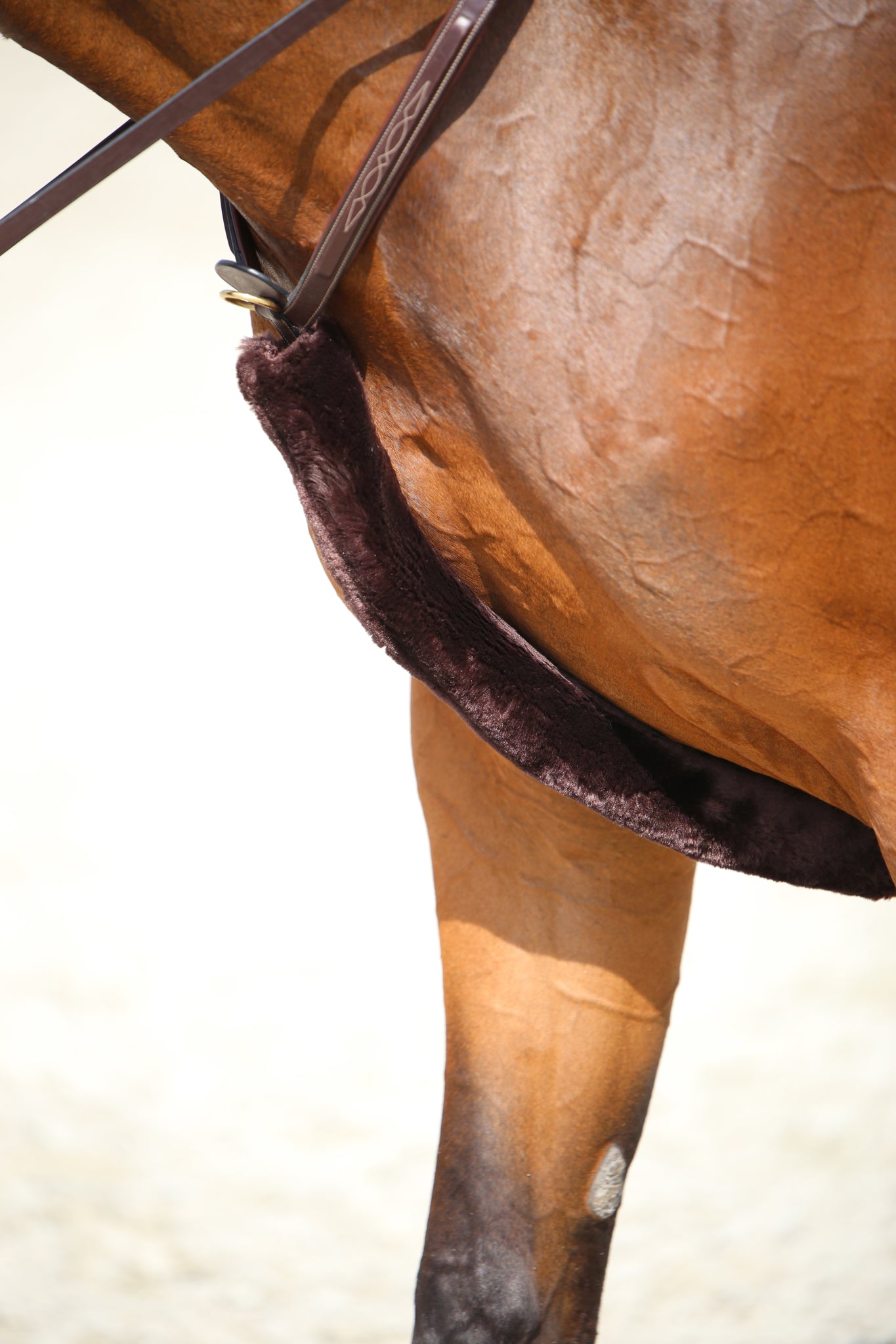 Kentucky Sheepskin Breast Plate Cover
