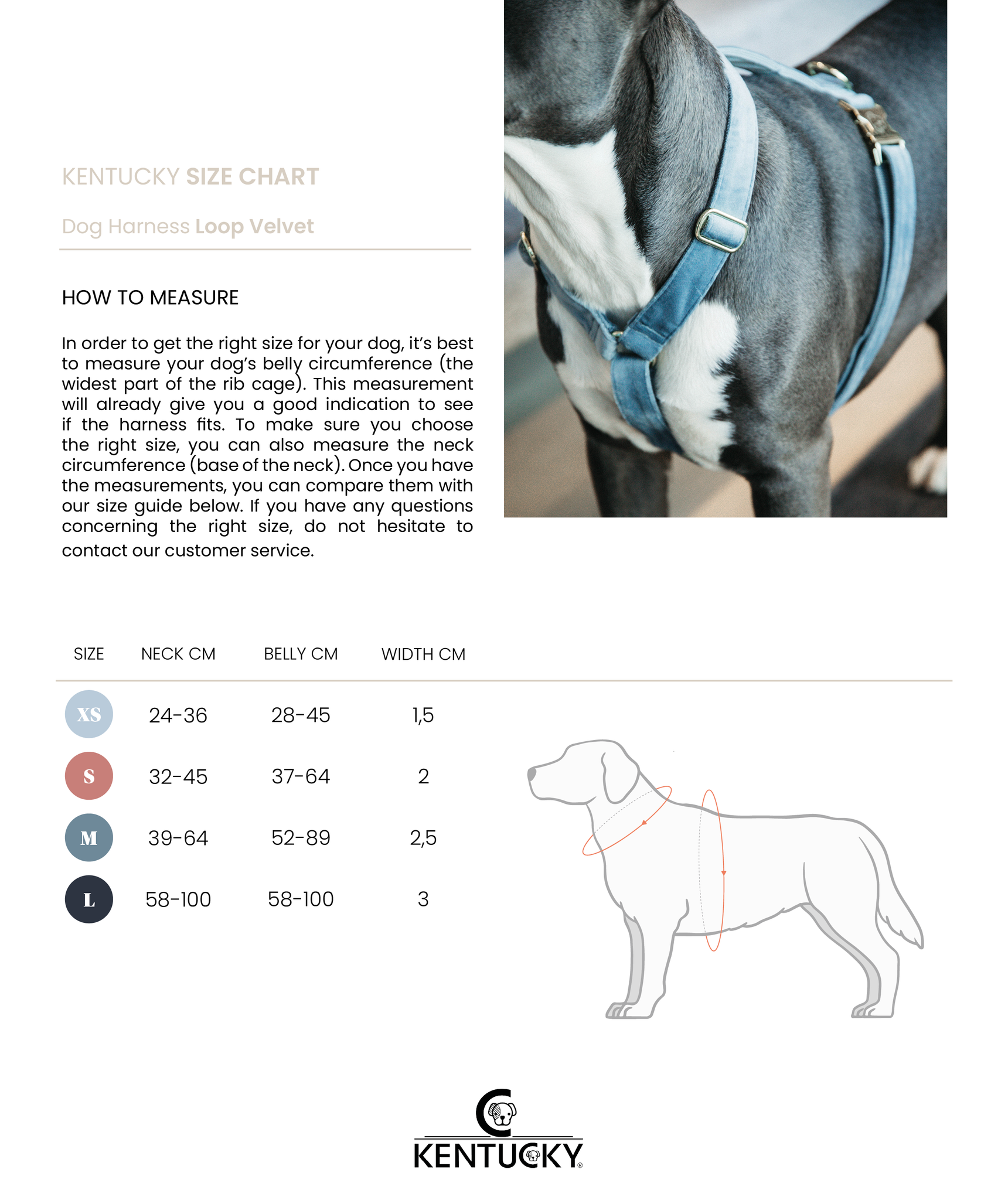 Kentucky Velvet Emerald Dog Harness