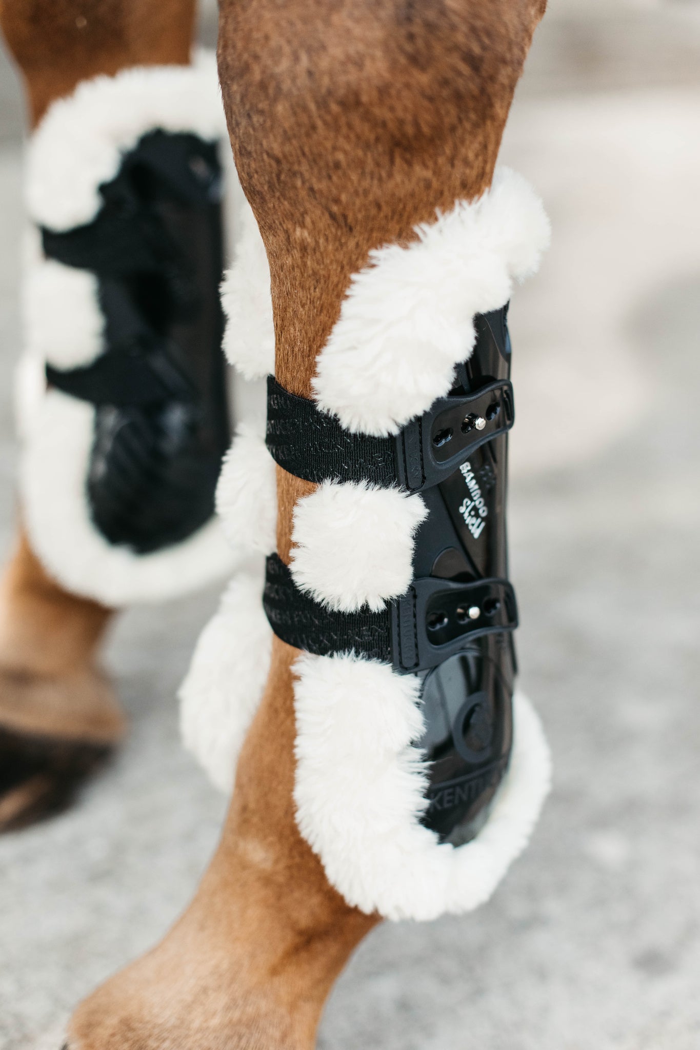Kentucky Vegan Sheepskin Tendon Boots Bamboo Shield with Elastic fastenings are now available following years of research and development. The Kentucky Bamboo Shield Replaces the Kentucky Tendon Boot.