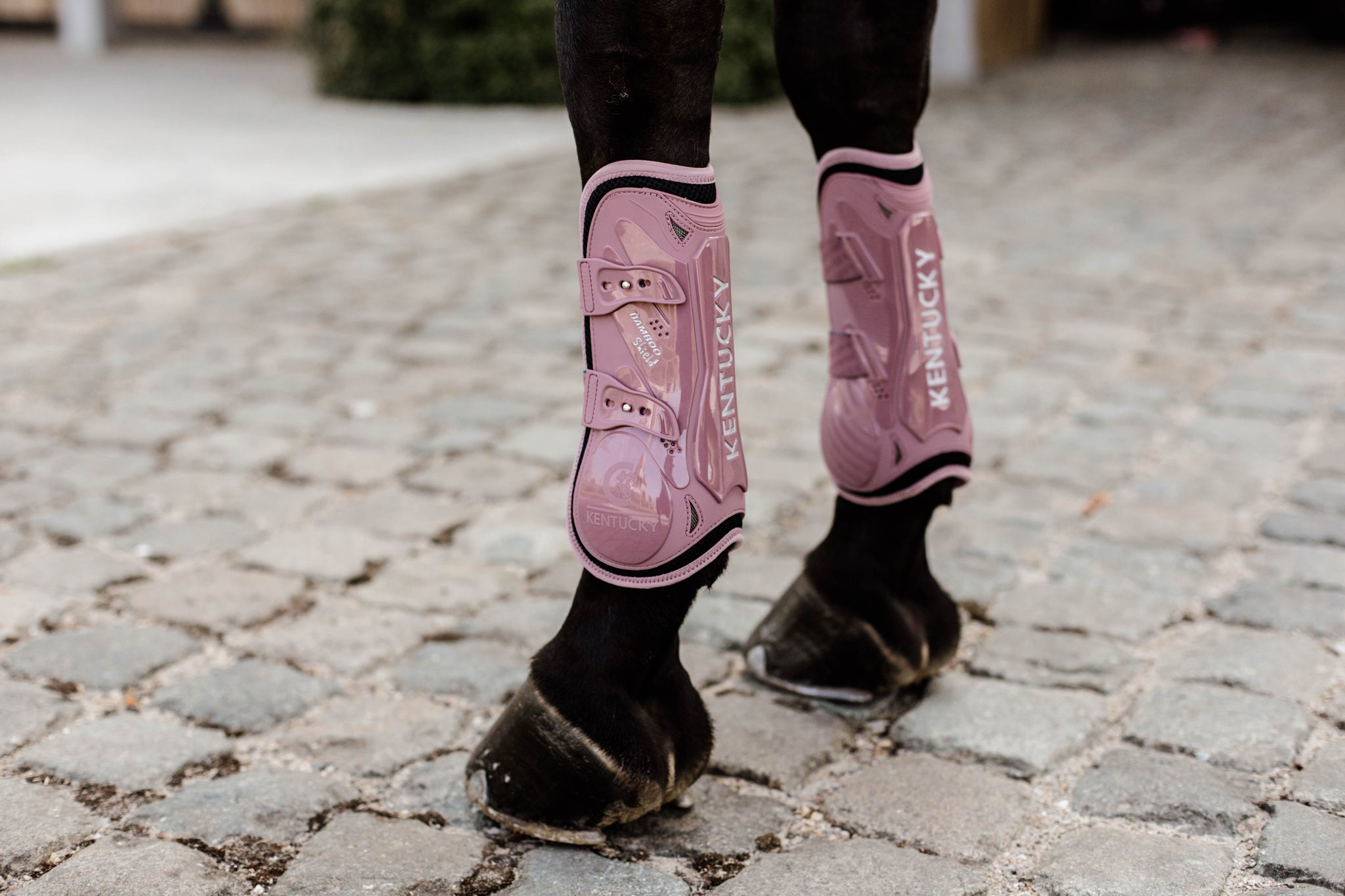 Kentucky Vegan Tendon Boots Bamboo Shield with Elastic fastenings are now available following years of research and development. The Kentucky Bamboo Shield Replaces the Kentucky Tendon Boot.