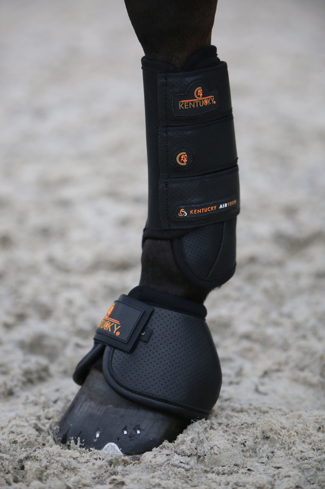 The Kentucky Horsewear Air Tech Over Reach Boots offer vital protection for your horse. Made with shock absorbing gel these are perfect procreation for your horse. The Air Tech Over Reach Boots provide excellent shock absorption and protection against over reaches.
