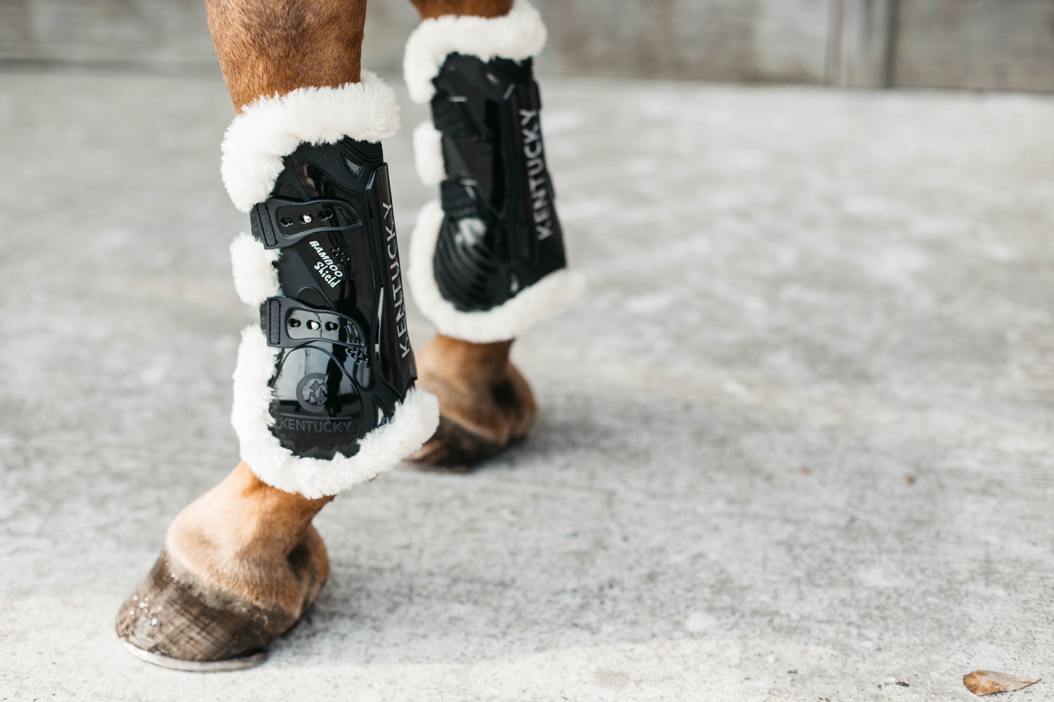 Kentucky Vegan Sheepskin Tendon Boots Bamboo Shield with Elastic fastenings are now available following years of research and development. The Kentucky Bamboo Shield Replaces the Kentucky Tendon Boot.