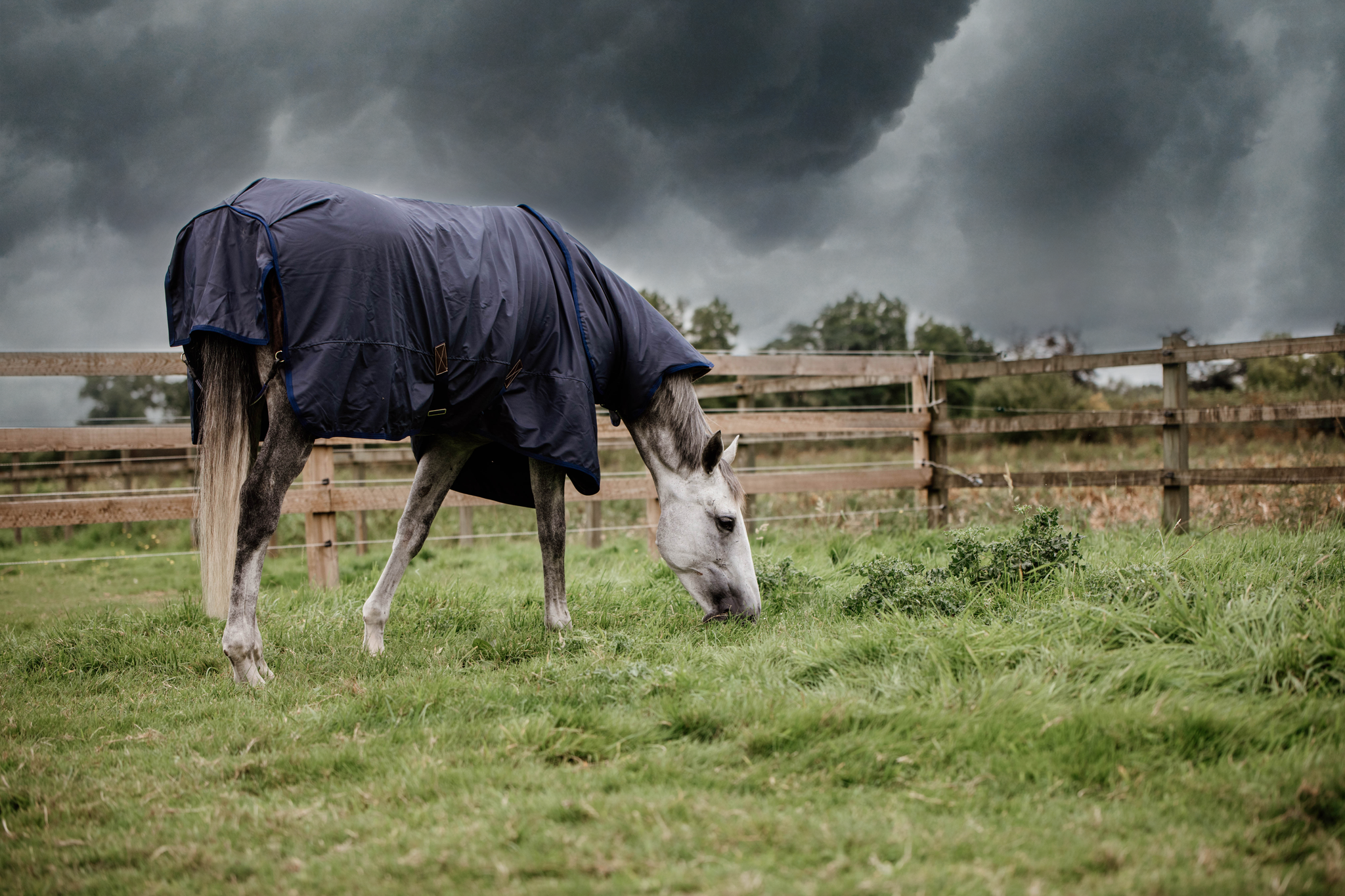 Kentucky Hurricane Turnout Rug All Weather The Kentucky Horsewear, the Turnout Rug Hurricane is a unique new product which features a unique water blocking outer layer for in the field or paddock. Super versatile and hard wearing, the rug will be a reliable product able to guarantee to keep you horse dry in wet weather, even in the heaviest of rain fall. For extreme use in colder climates, we would not advise this turnout rub to be used over a temperature of 10 degrees Celsius.