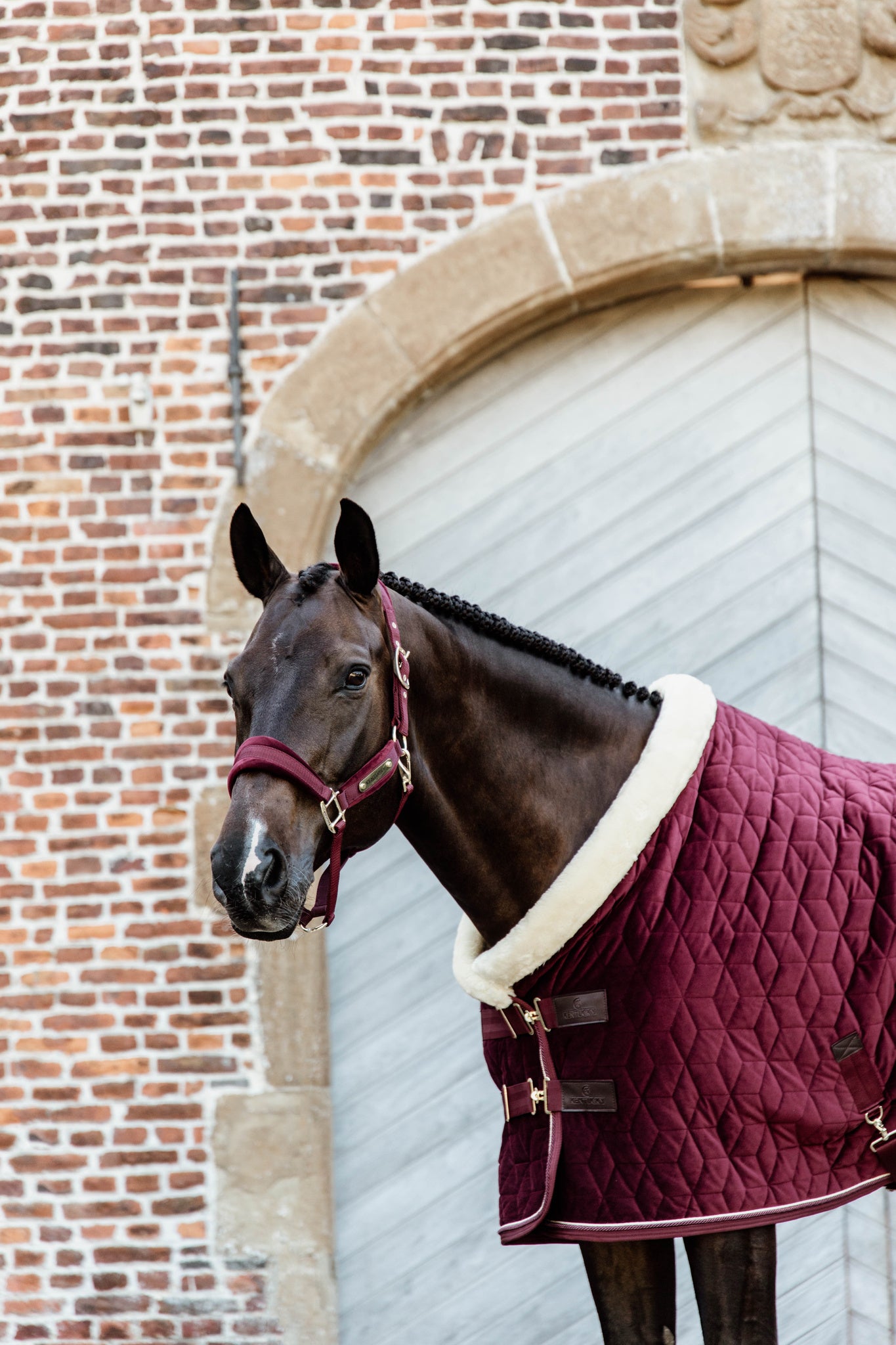 Kentucky Burgundy Velvet Show Rug