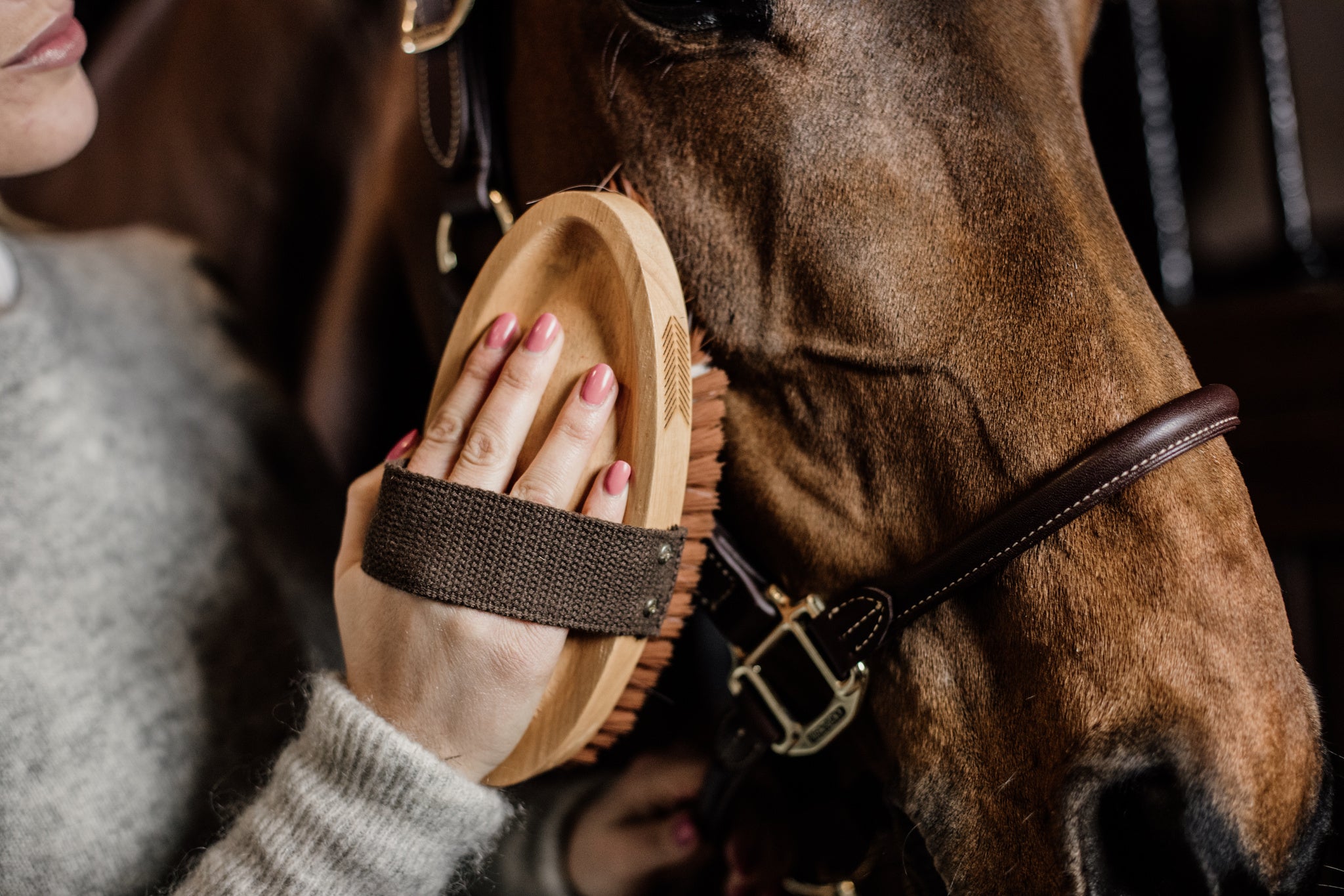 This varnished oval brush is filled with short nylon bristles to help distribute the oil of the coat and produce a shiny, glowing coat.