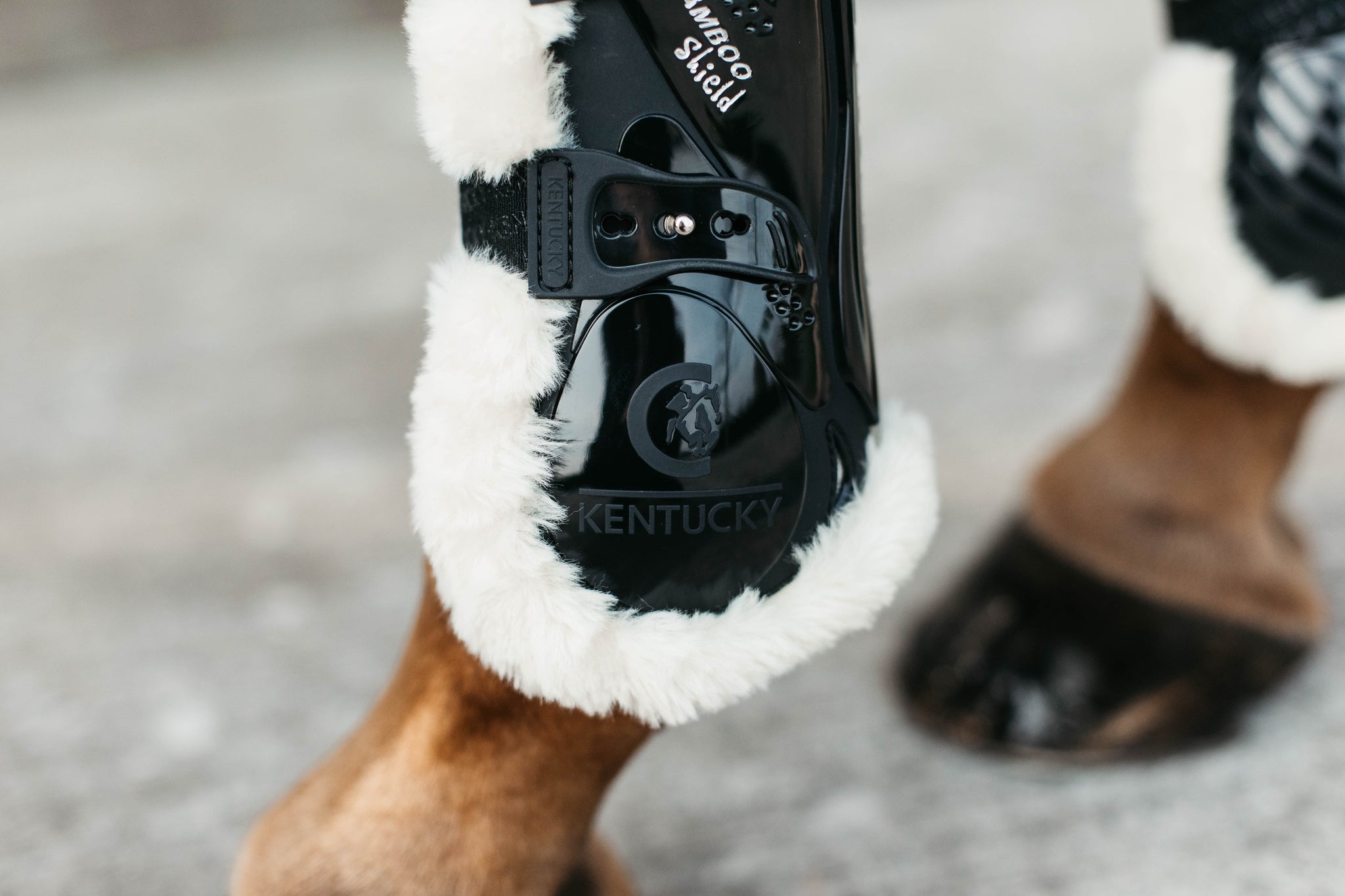 Kentucky Vegan Sheepskin Tendon Boots Bamboo Shield with Elastic fastenings are now available following years of research and development. The Kentucky Bamboo Shield Replaces the Kentucky Tendon Boot.