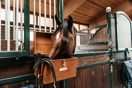 Kentucky Stable Tack Box