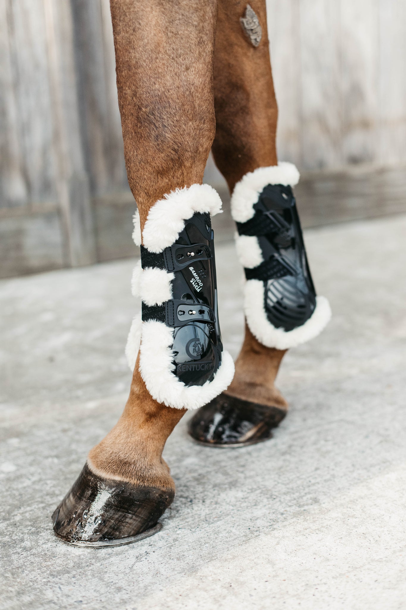 Kentucky Vegan Sheepskin Tendon Boots Bamboo Shield with Elastic fastenings are now available following years of research and development. The Kentucky Bamboo Shield Replaces the Kentucky Tendon Boot.