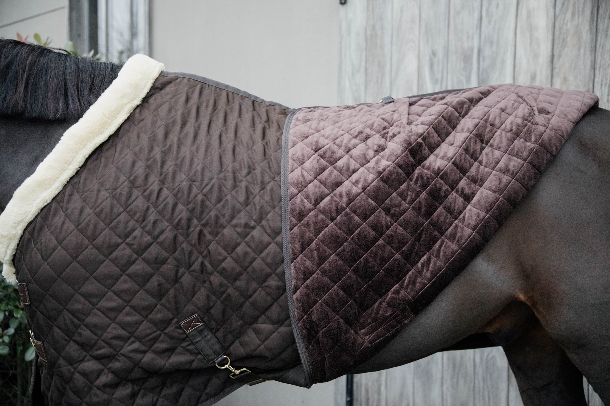 The Show Rug is one of Kentucky’s most iconic products. The rug was designed to have an easy and comfortable rug on competitions. Therefore, the rug is easily adjustable to the needs of your horse. The sophisticated look of the show rug will catch everyone’s eyes at competitions. As the Show Rug also serves as a stable rug, you can unload your horse without worrying about changing rugs.
