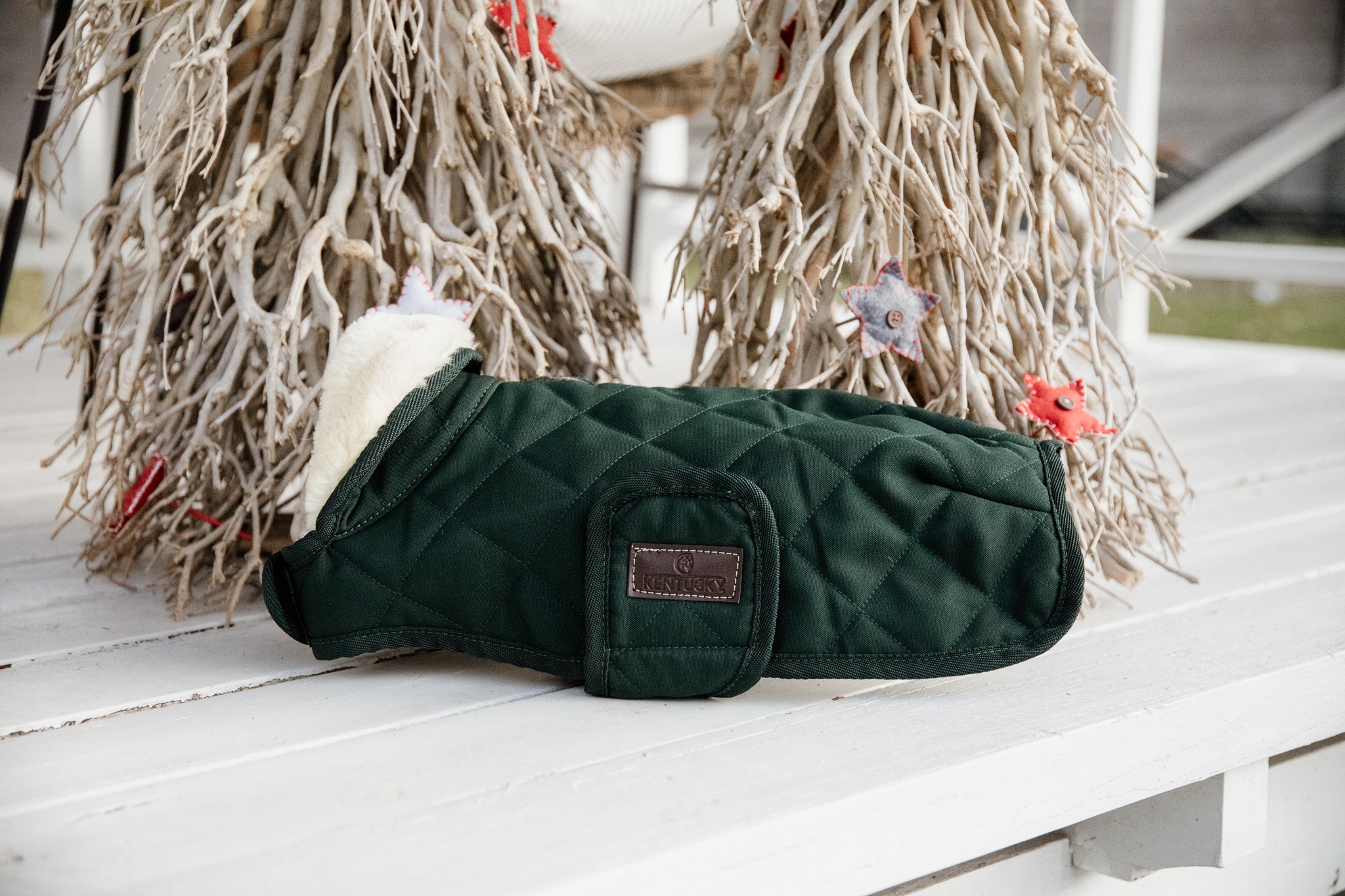 Kentucky Original Dog Coat