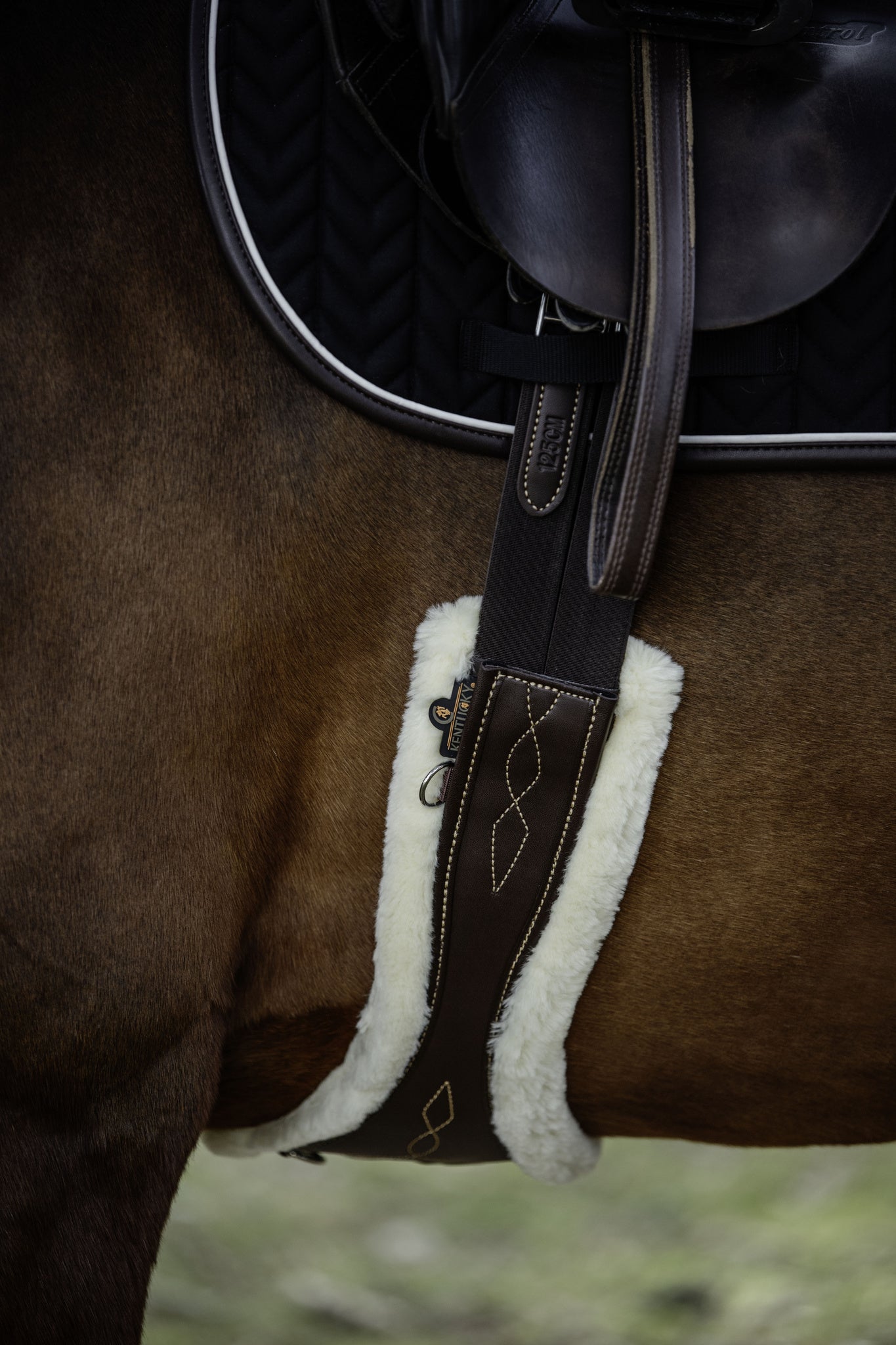 The Kentucky anatomical girth with sheepskin lining. This girth is made from artificial leather, making it softer, more durable and easier to maintain and clean. The faux sheepskin is removable, making it easier to watch and re attaches with strong Velcro. A silver hope and carabiner is found underneath to attach your martingale, breastplate, draw reigns etc. The girth is available in black or brown.