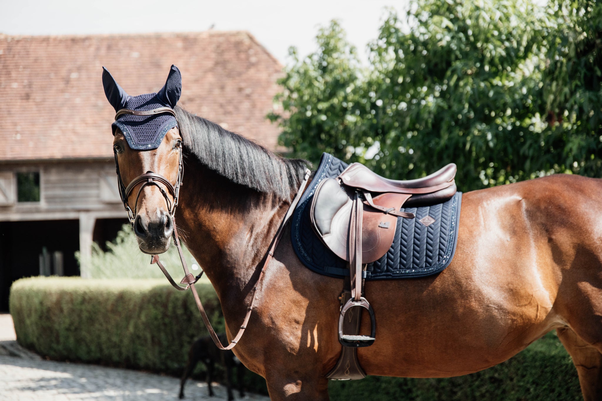 Kentucky’s Saddle Pad Glitter Stone jumping pad is stunning. The stones ooze sophistication and style. The pad is shaped for jumping and provides excellent cushioning between the horse while protecting against friction.