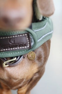 The Kentucky Green Waterproof Dog Coat offers every dog a dry, warm rug during the cold and wet winter days. Filled with a warming 160g and also featuring an artificial faux fur lining for extra comfort. This also creates tiny air pockets that trap and retain the body heat of the dog.