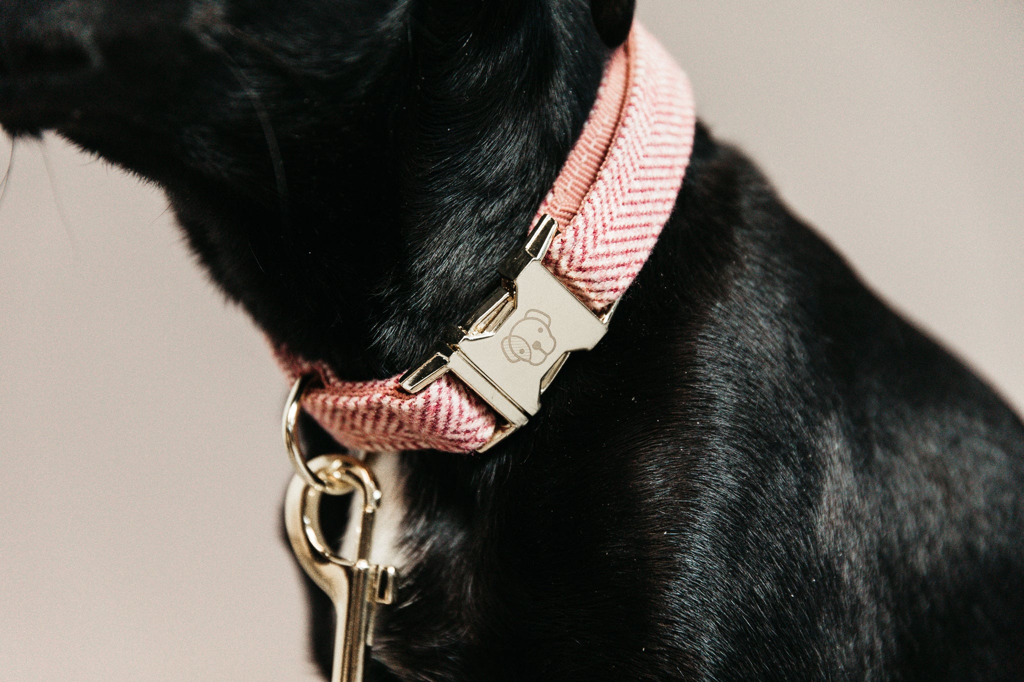 This Kentucky Dog Collar Wool will give your dog a sophisticated look in any circumstances! The diagonal stipe fabric on the outside gives it a wool like aspect, without using any animal ingredient. On the inside, the collar is reinforced with nylon to assure comfort and extra strength.