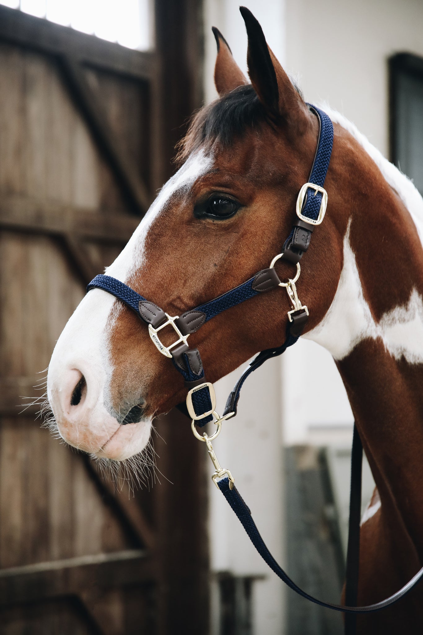 The Plaited Nylon Halter is made of artificial leather (100% animal friendly) and has a nylon braided design. This artificial leather does not absorb water or dirt, does not break or change color.