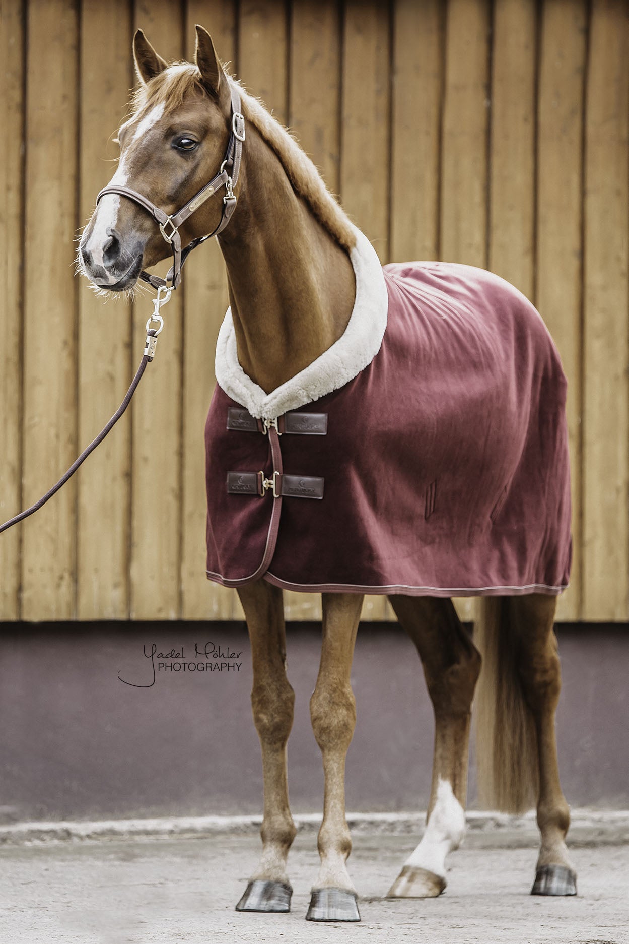 Kentucky Fleece Show Rug Heavy – Bordeaux The Heavyweight Fleece Show Rug in Bordeaux is NEW for 2020. With all the same characteristics of the original Heavyweight Fleece Show Rug, the Bordeaux will be sort after this year. With the look and hand feel of the authentic wool rug, without all the inconveniences that a wool rug can have.