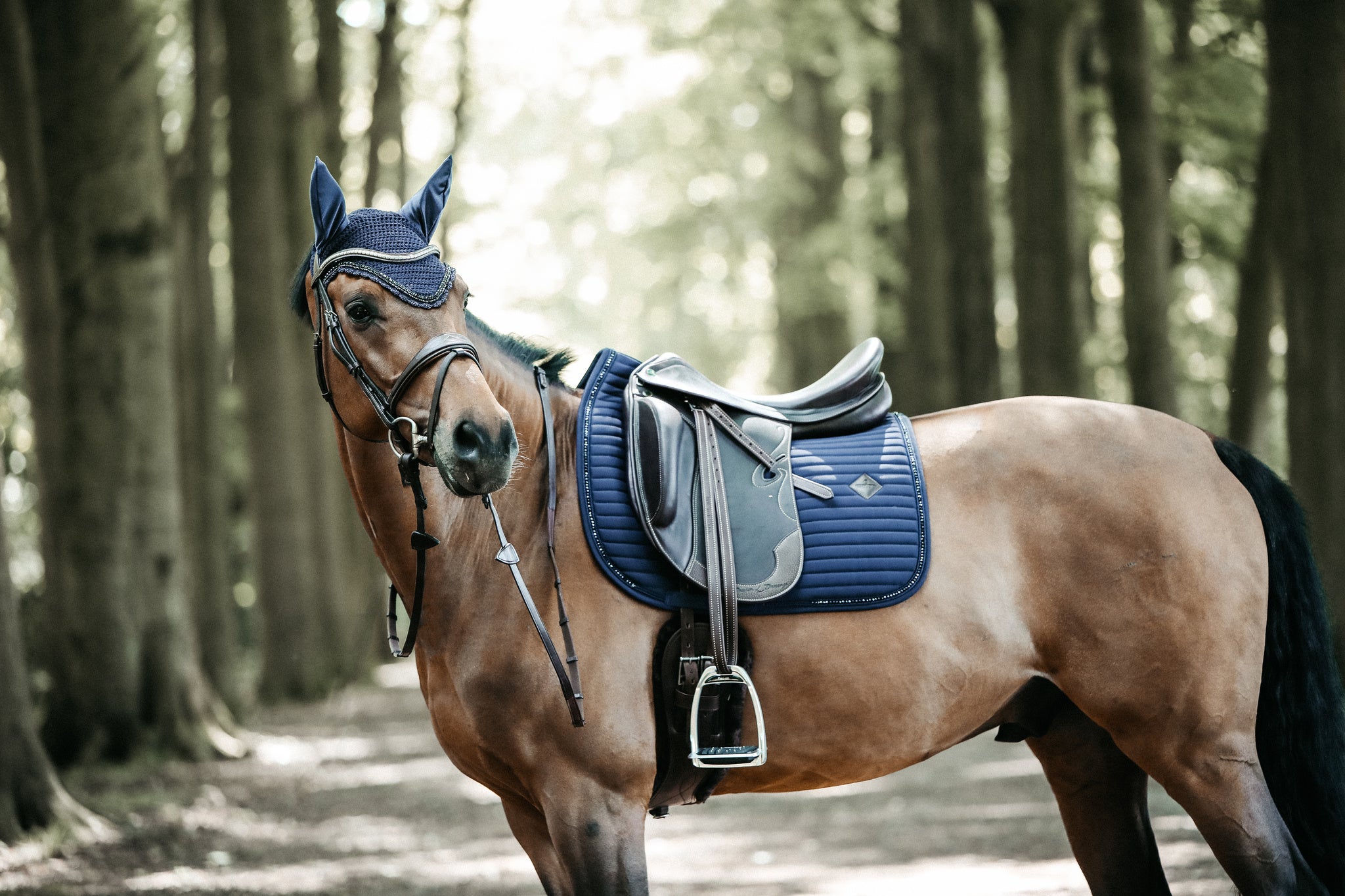 The Kentucky pearls dressage pads exude luxury. The self coloured pearls add a sophisticated sparkle. matching fly vale available.