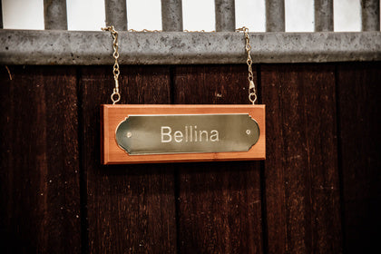 The Kentucky name plate is a classy addition to any stable. Made with bamboo and finished with a gold chain and plate on the front to engrave with your horses name.