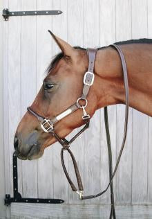 The Kentucky leather covered chain lead in brown. This lead has the control and strength of the stallion chain lead but is cased in artificial leather for a softer feel.