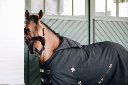 The Kentucky bib has been designed to protect your your horse from those annoying rubs caused by rugs. The Kentucky summer bib is the ideal pad to protect your horse’s chest.