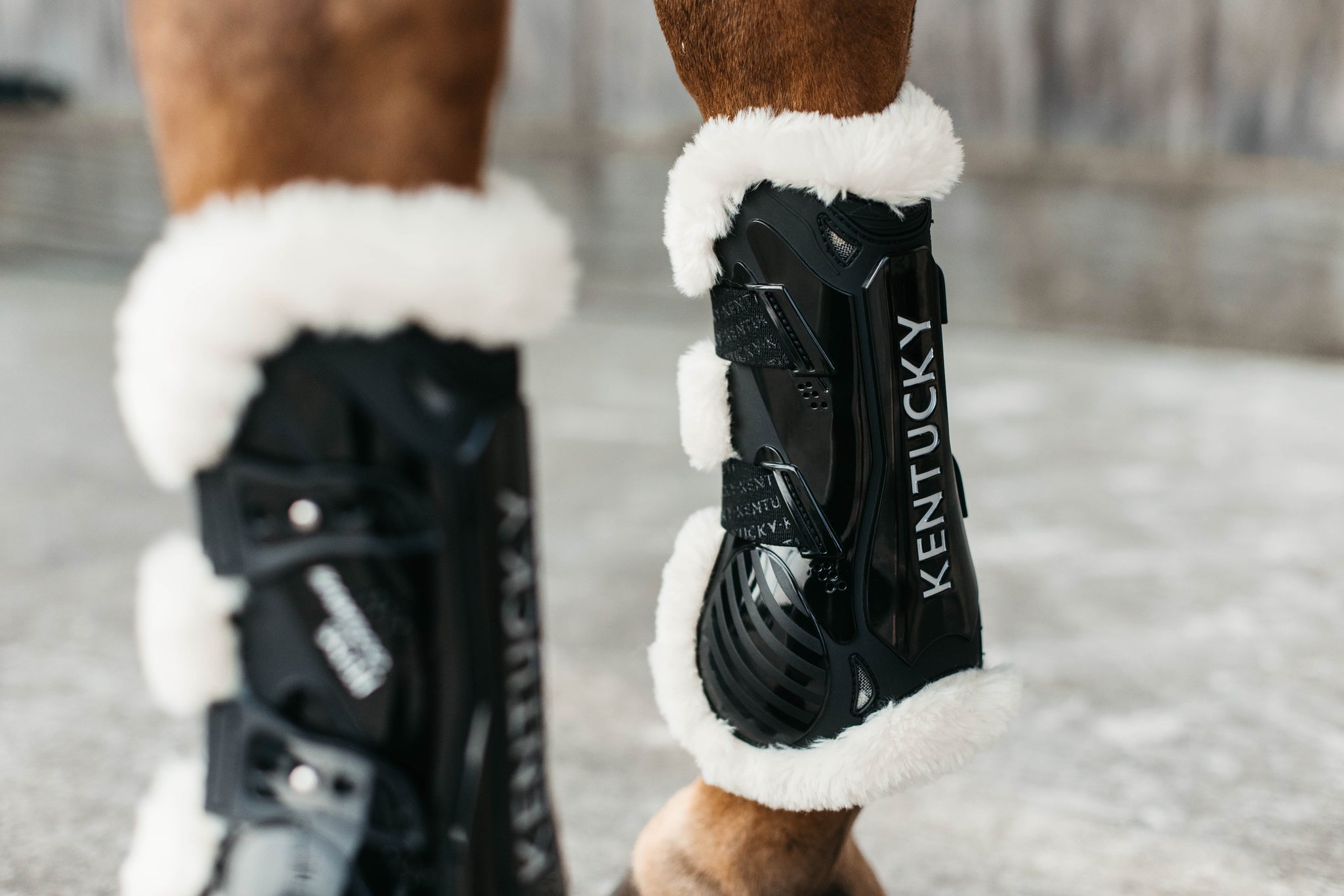 Kentucky Vegan Sheepskin Tendon Boots Bamboo Shield with Elastic fastenings are now available following years of research and development. The Kentucky Bamboo Shield Replaces the Kentucky Tendon Boot.