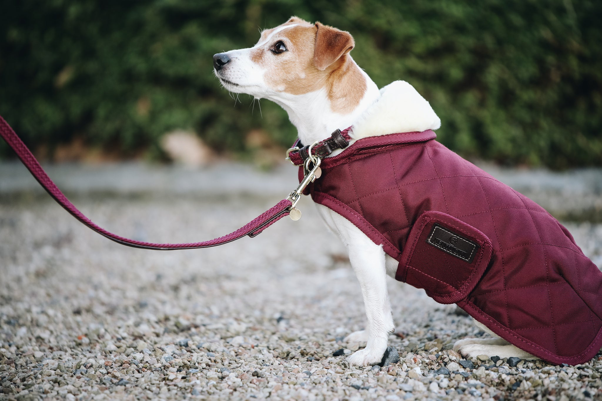 The Kentucky Plaited Nylon Dog lead is made of artificial leather on the back and the buckle / end (100% animal and vegan friendly) and has a nylon braided design on the face.