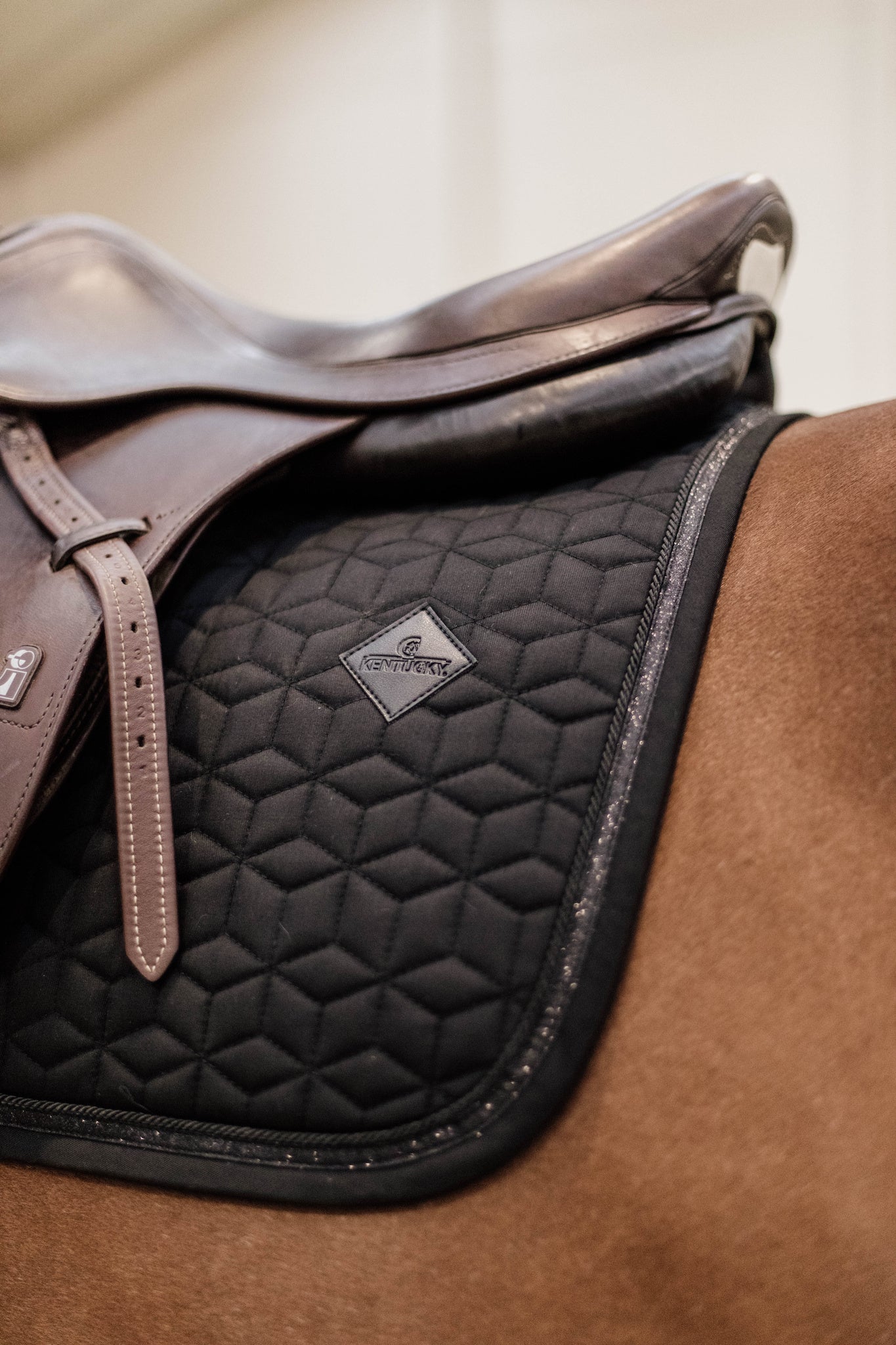 The Kentucky rope and Glitter saddle pad is a classic elegant pad with a sophisticated shimmer. The pad has a clutter strip and a plain self coloured braid. Matching Fly Vale Available